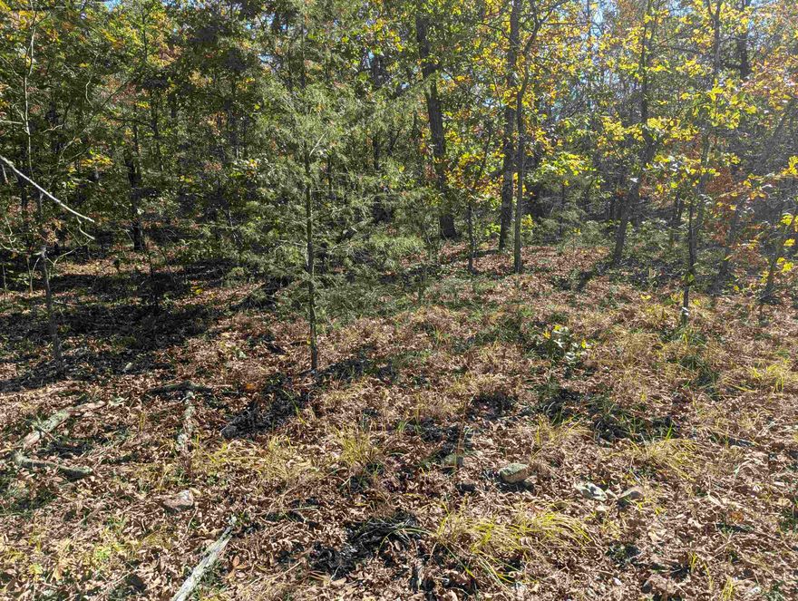 Secluded Wooded Acreage in the Ozarks Foothills  Discover the ideal 10-acre tract for your secluded retreat or off-grid aspirations in the scenic Fulton County, North Central Arkansas, nestled in the foothills of the Ozarks. This entirely wooded tract has been recently surveyed and offers a unique combination of accessibility and privacy, featuring gravel county road frontage on two sides of the property. The land is gently rolling and provides essential modern convenience with electricity available at the road, yet maintains a desirable seclusion—note there are several miles of gravel road leading to the property, enhancing its quiet, fairly secluded atmosphere. Best of all, with no restrictions, this pristine acreage is perfect for a prepper or anyone seeking complete autonomy to build, camp, or simply escape.