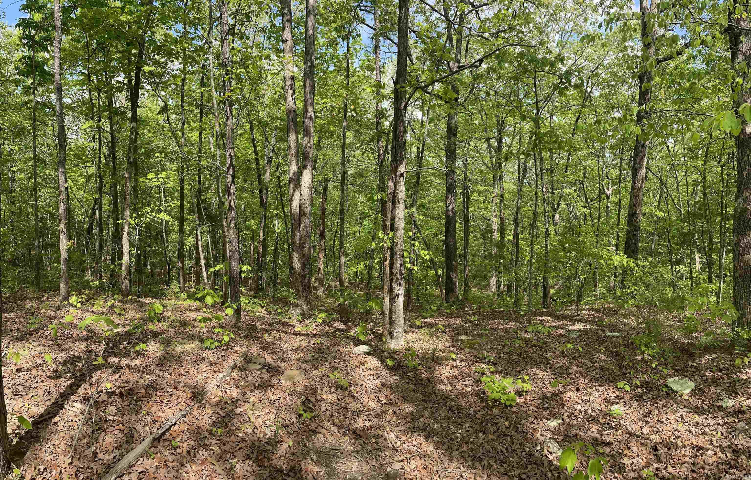 BOTKINBURG - Residential