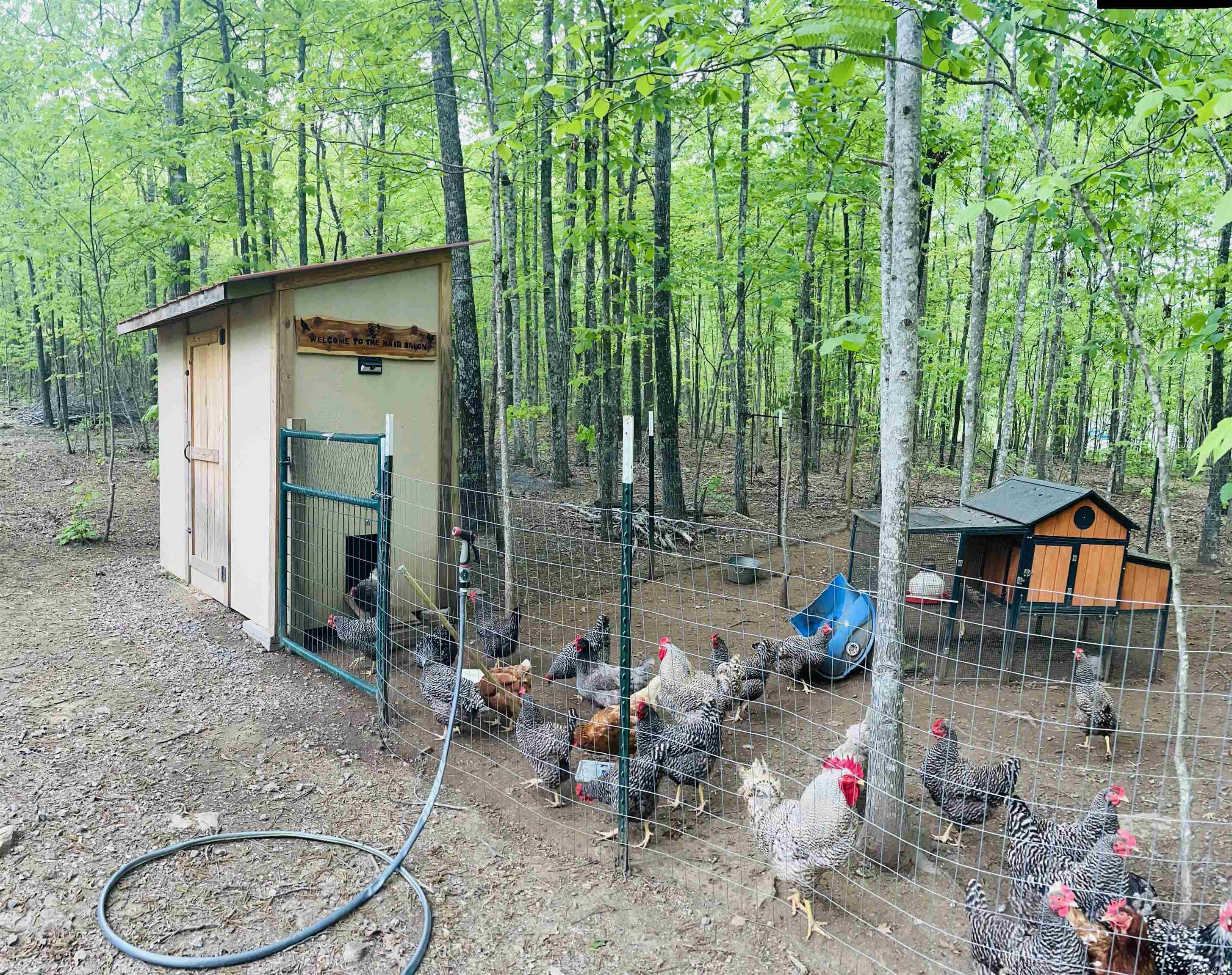 BOTKINBURG - Residential