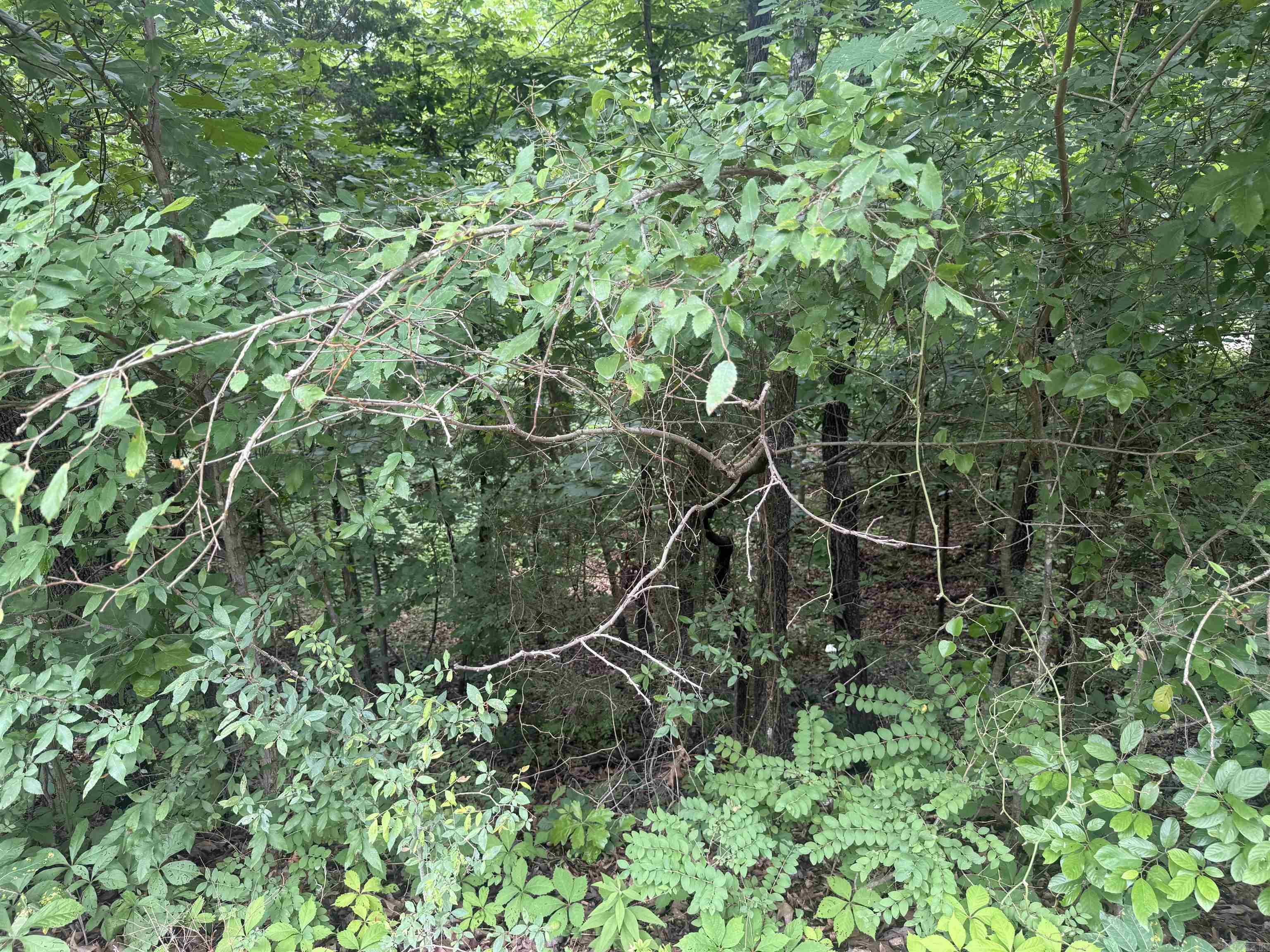 Choctaw First - Land