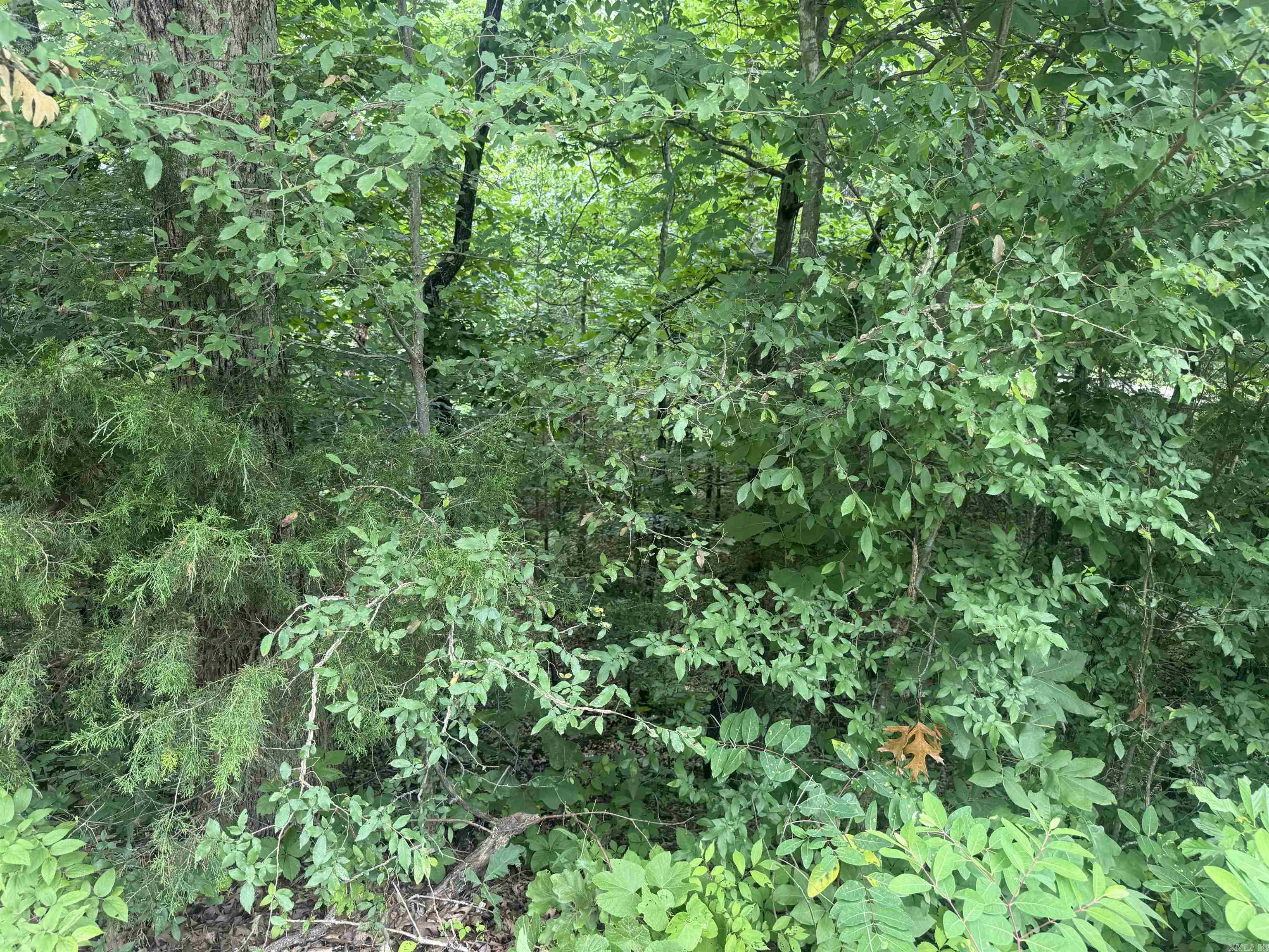 Choctaw First - Land