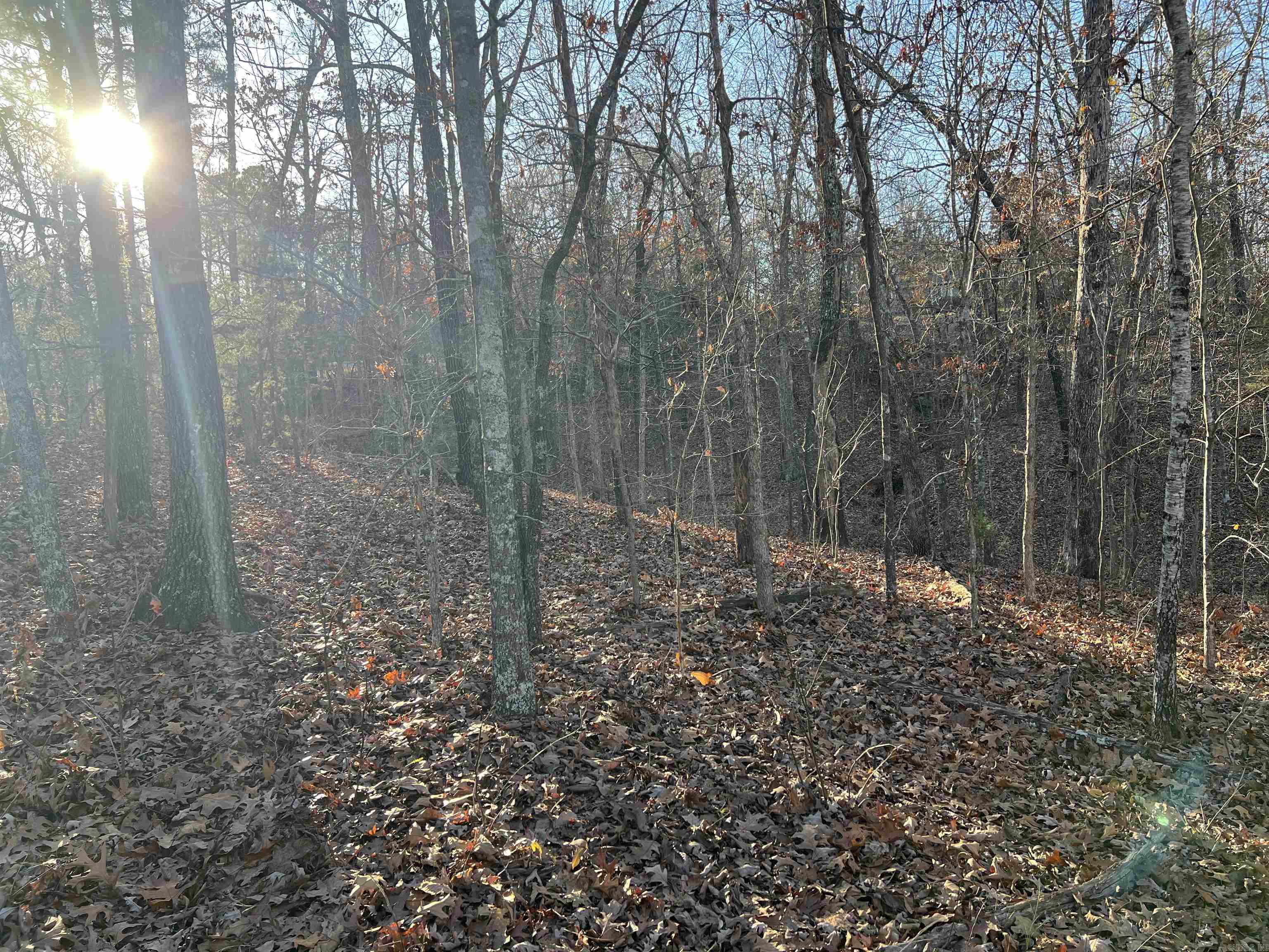 Choctaw First - Land