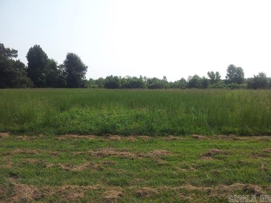 Vacant hunting ground