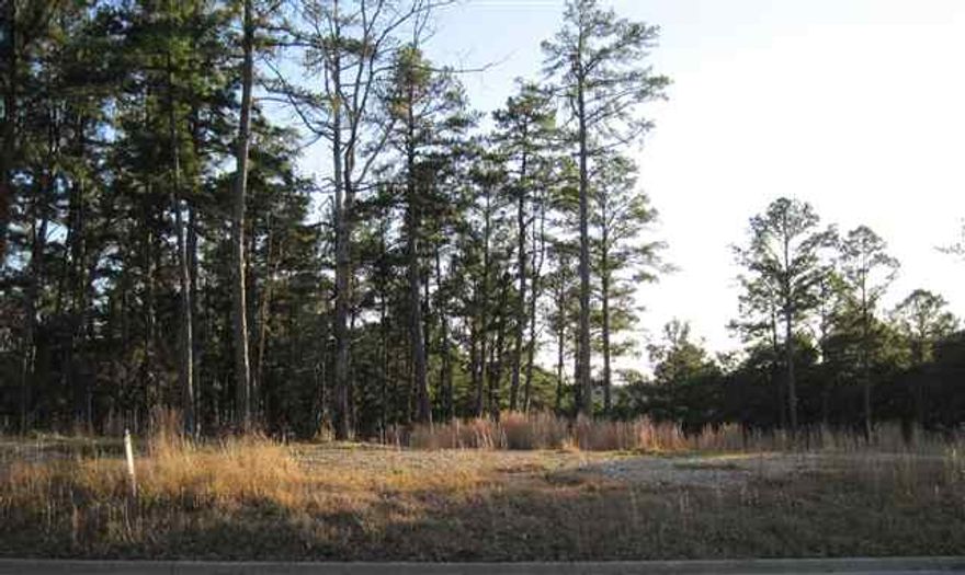 Beautiful large lot with rear green space and view.