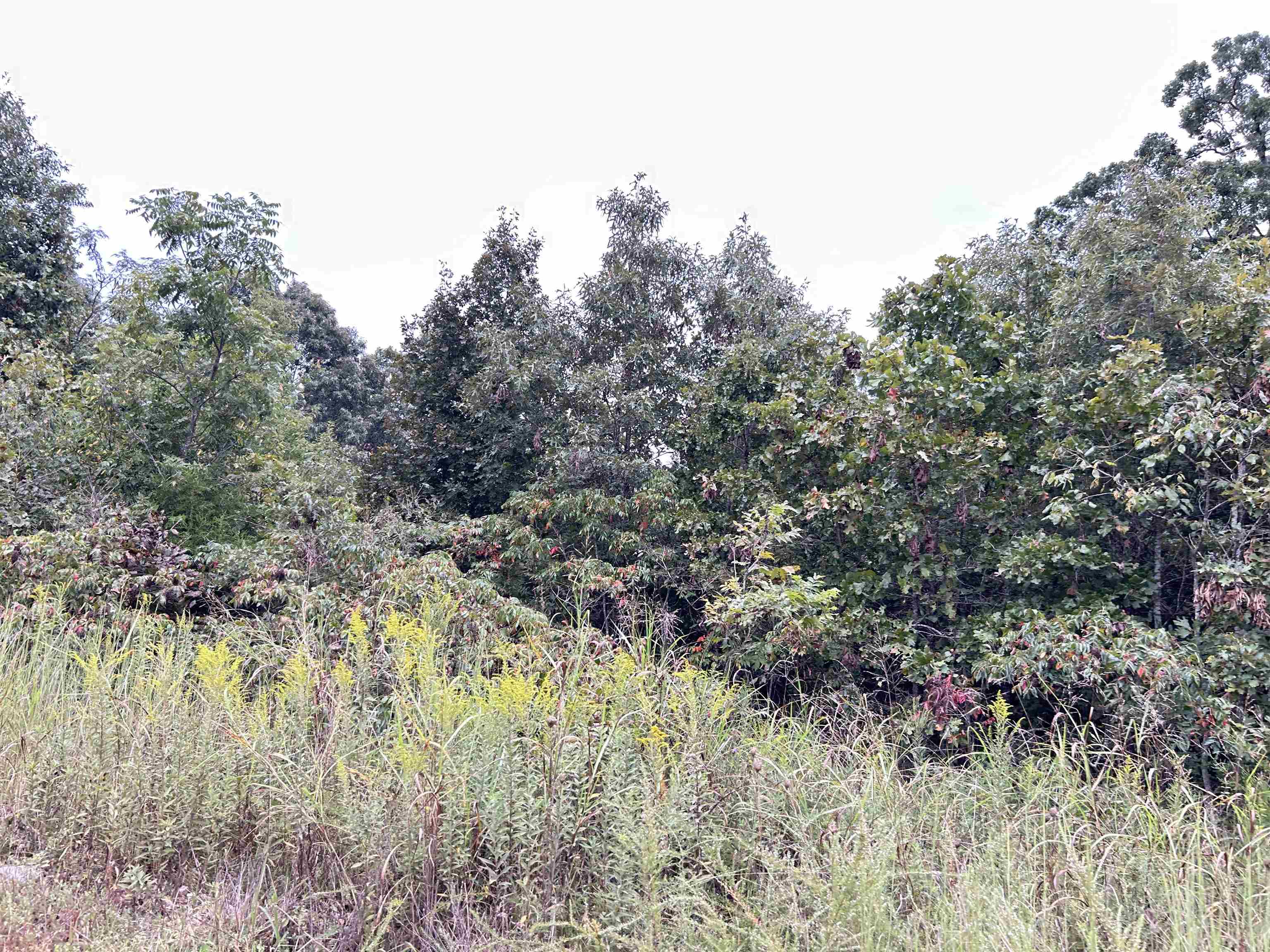 ASH FLAT HEIGHTS - Land