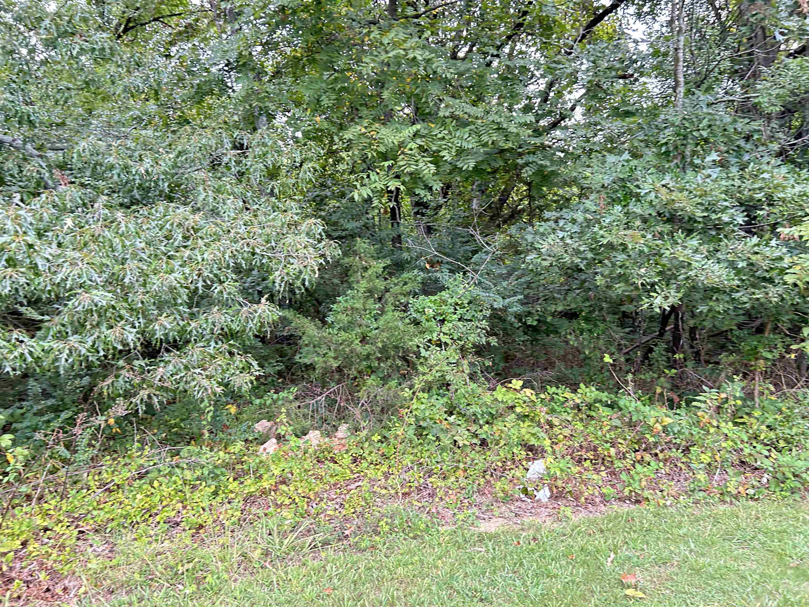 ASH FLAT HEIGHTS - Land