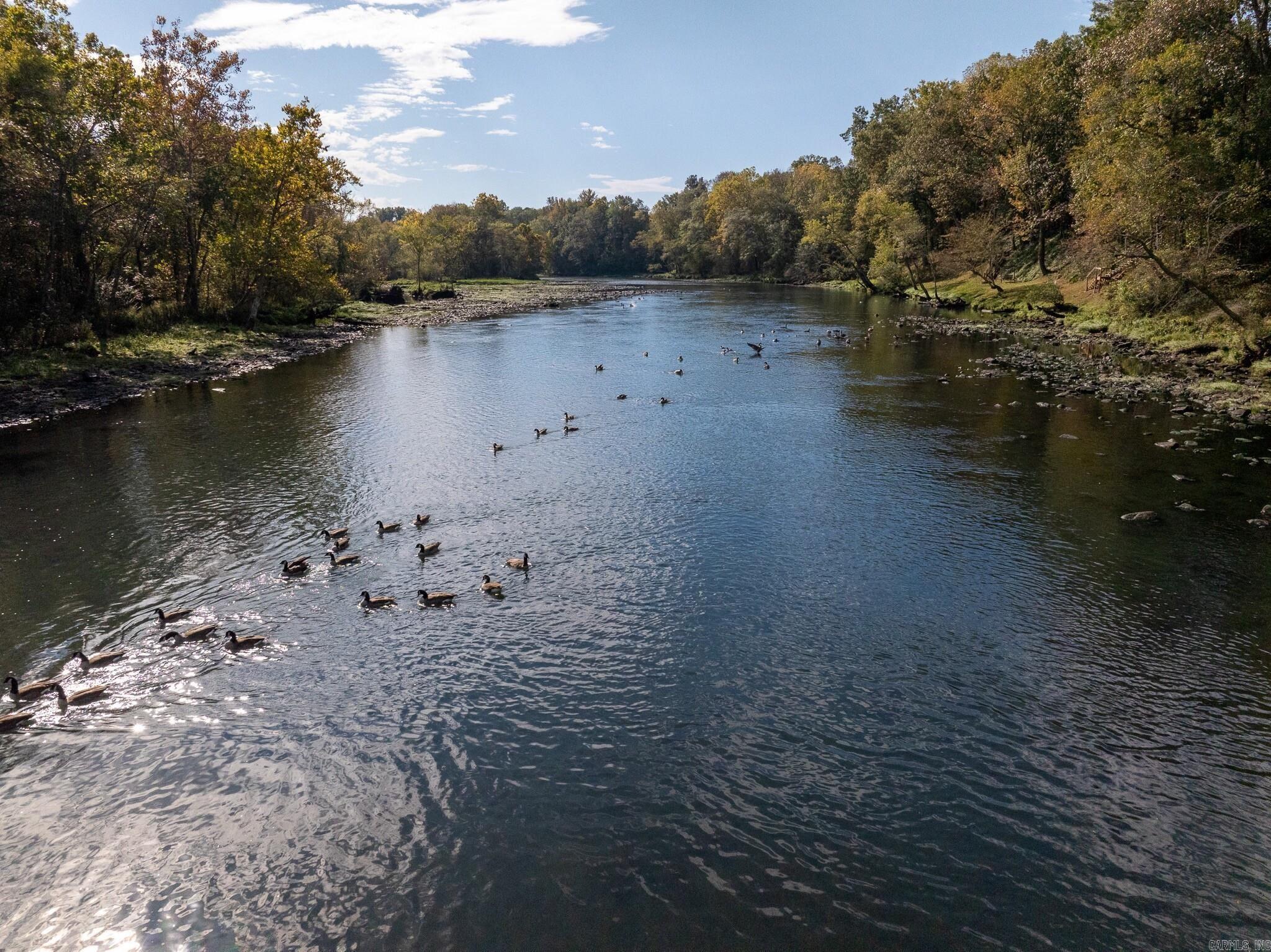 COW SHOALS - RIVER - Residential
