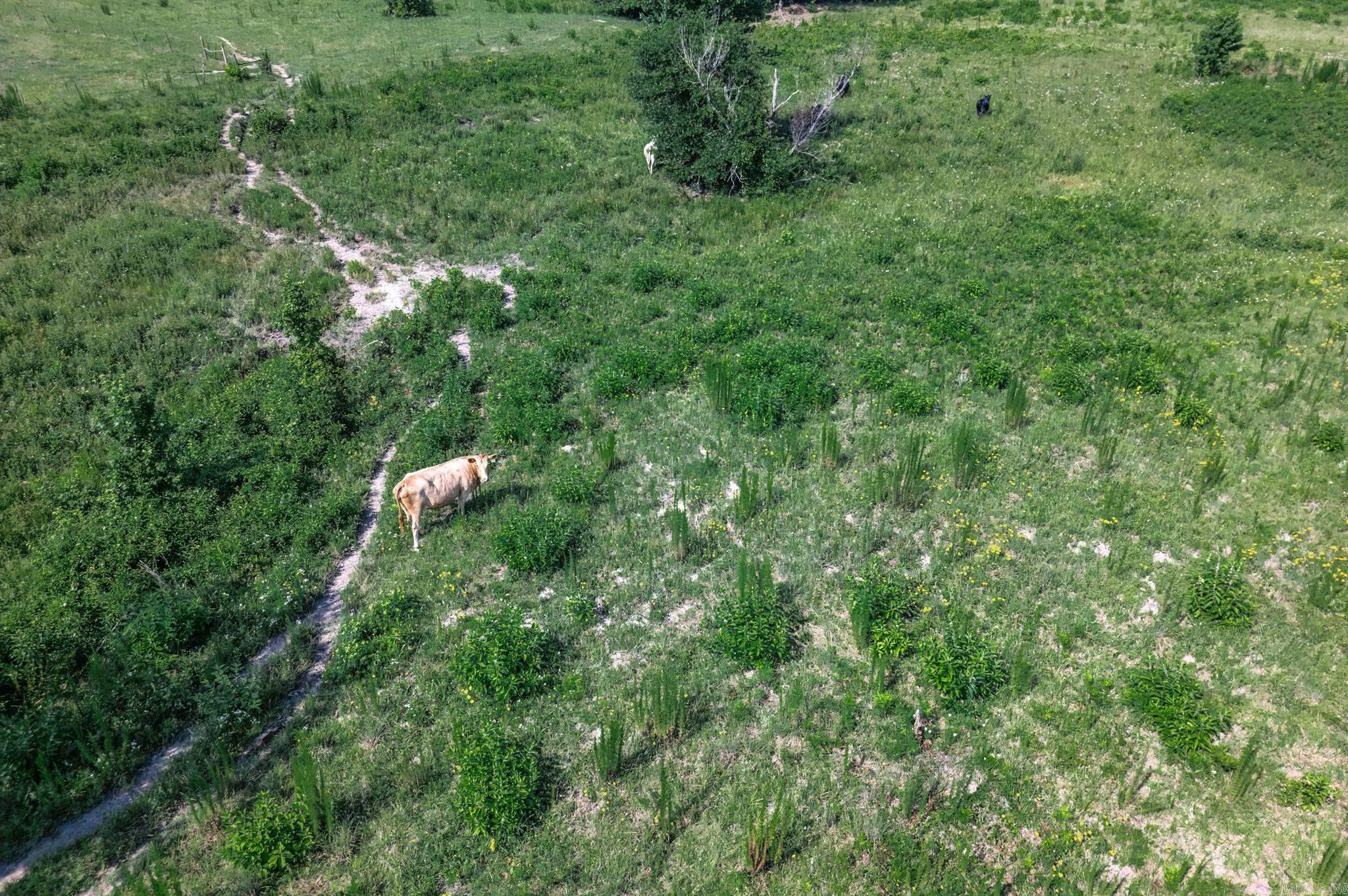 Metes & Bounds - Land