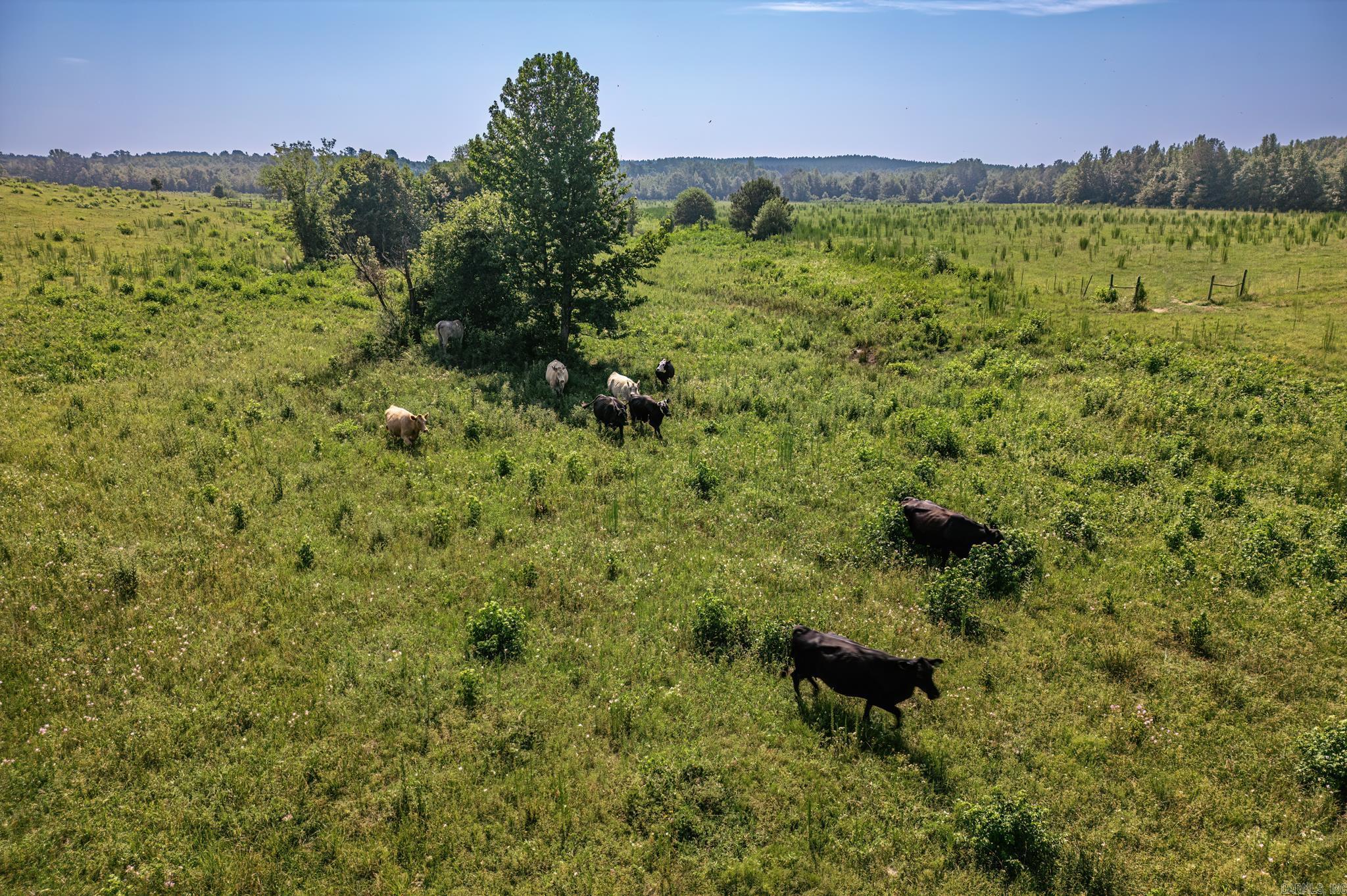 Metes & Bounds - Land