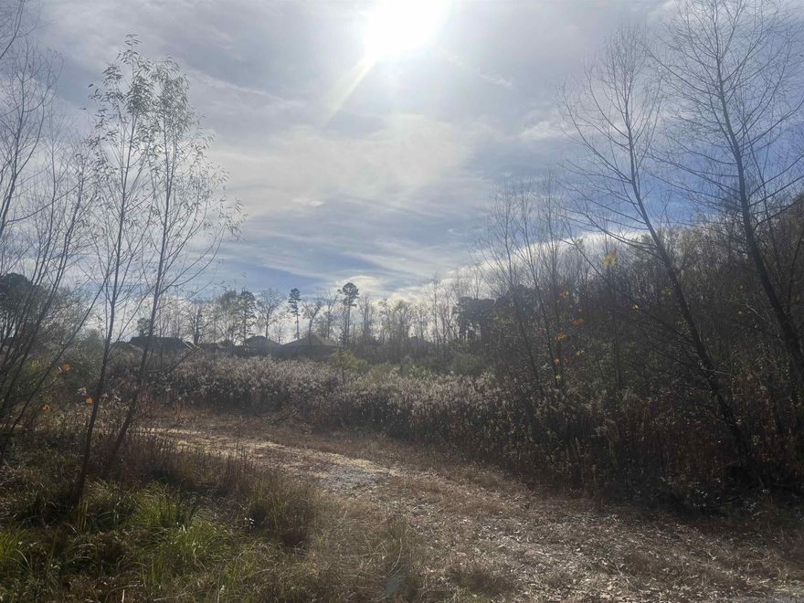 Great for single home or rentals. Close to Alcoa rd, all utilities , ready to build.