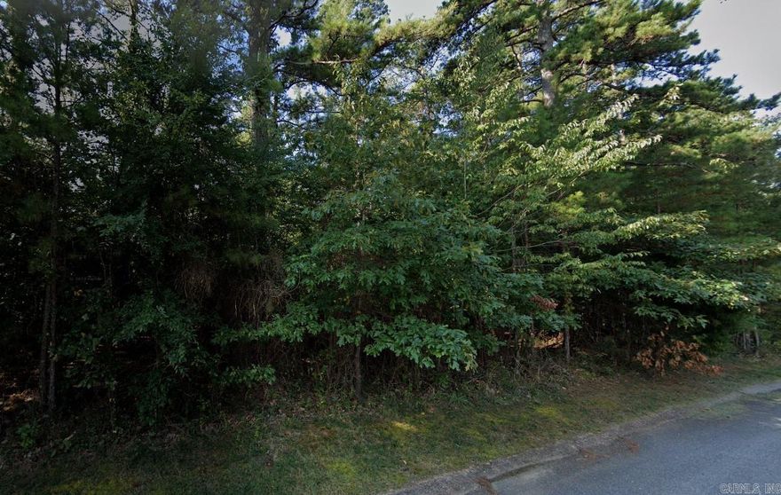 Welcome to Paragould, AR, where your dream property awaits! This 1.11-acre lot, nestled within the esteemed Pine Drive Subdivision as Lot 19, presents a rare opportunity to build your ideal home surrounded by the natural beauty of towering pine trees. Don't miss out on your chance to secure this exceptional property and make Paragould your new home sweet home!