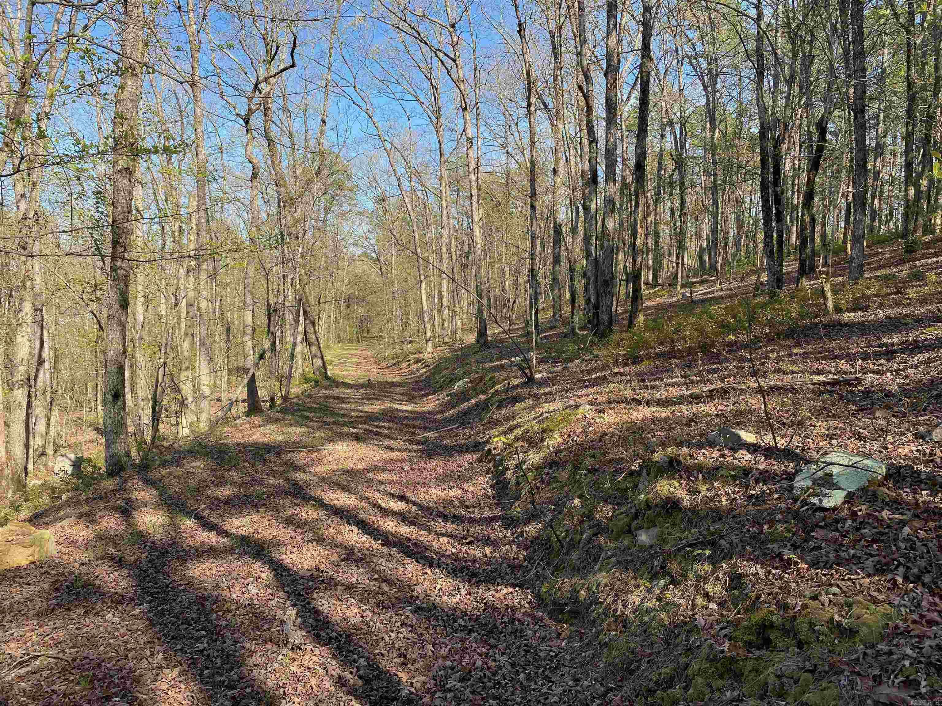 Not in Subdivision - Land