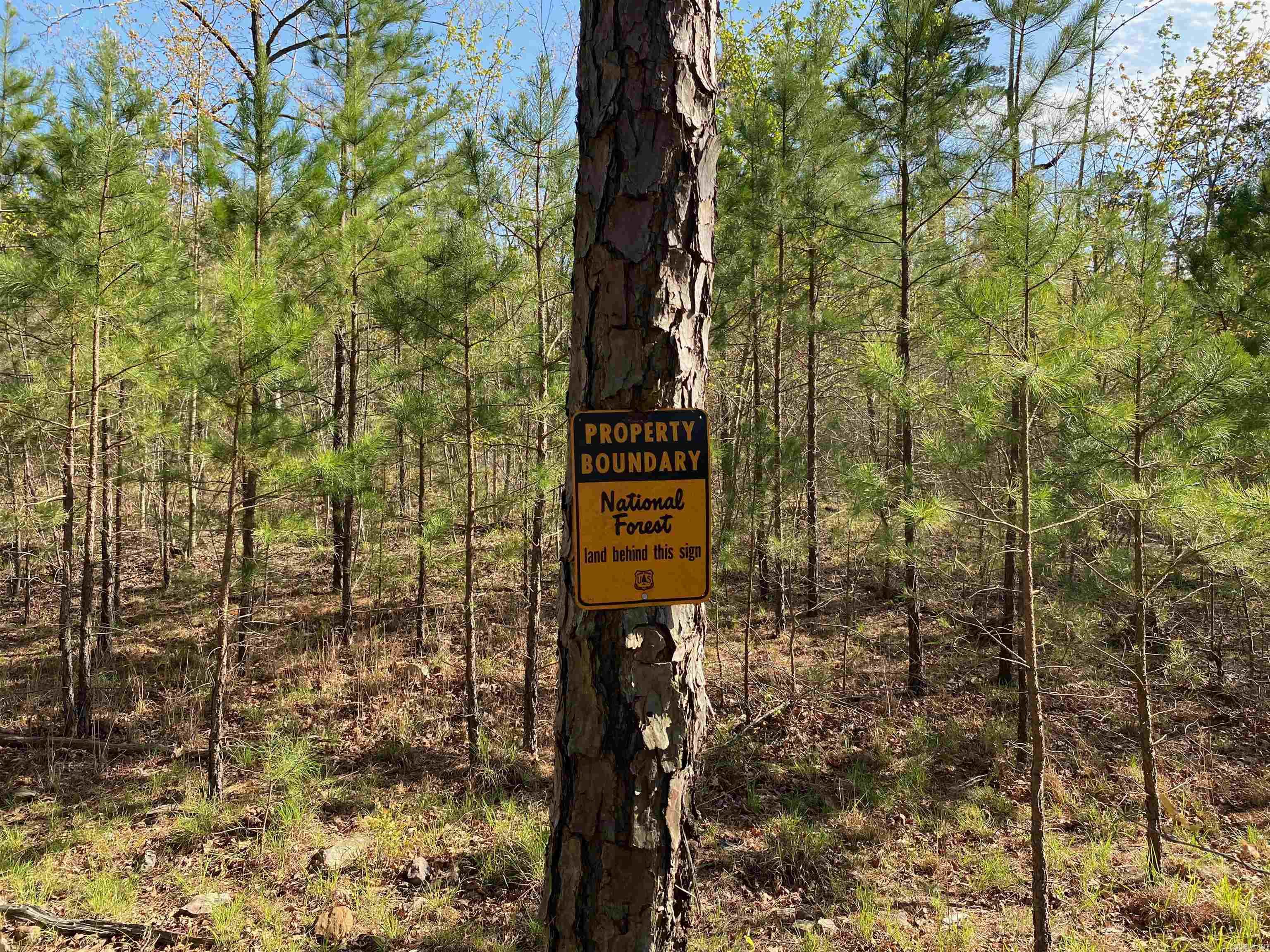 Not in Subdivision - Land