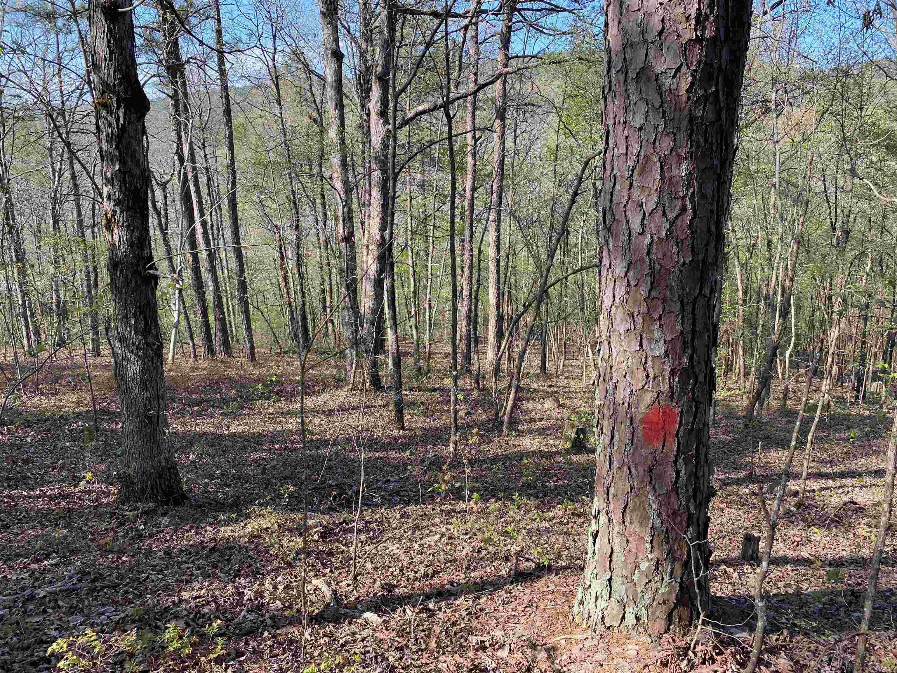 Not in Subdivision - Land