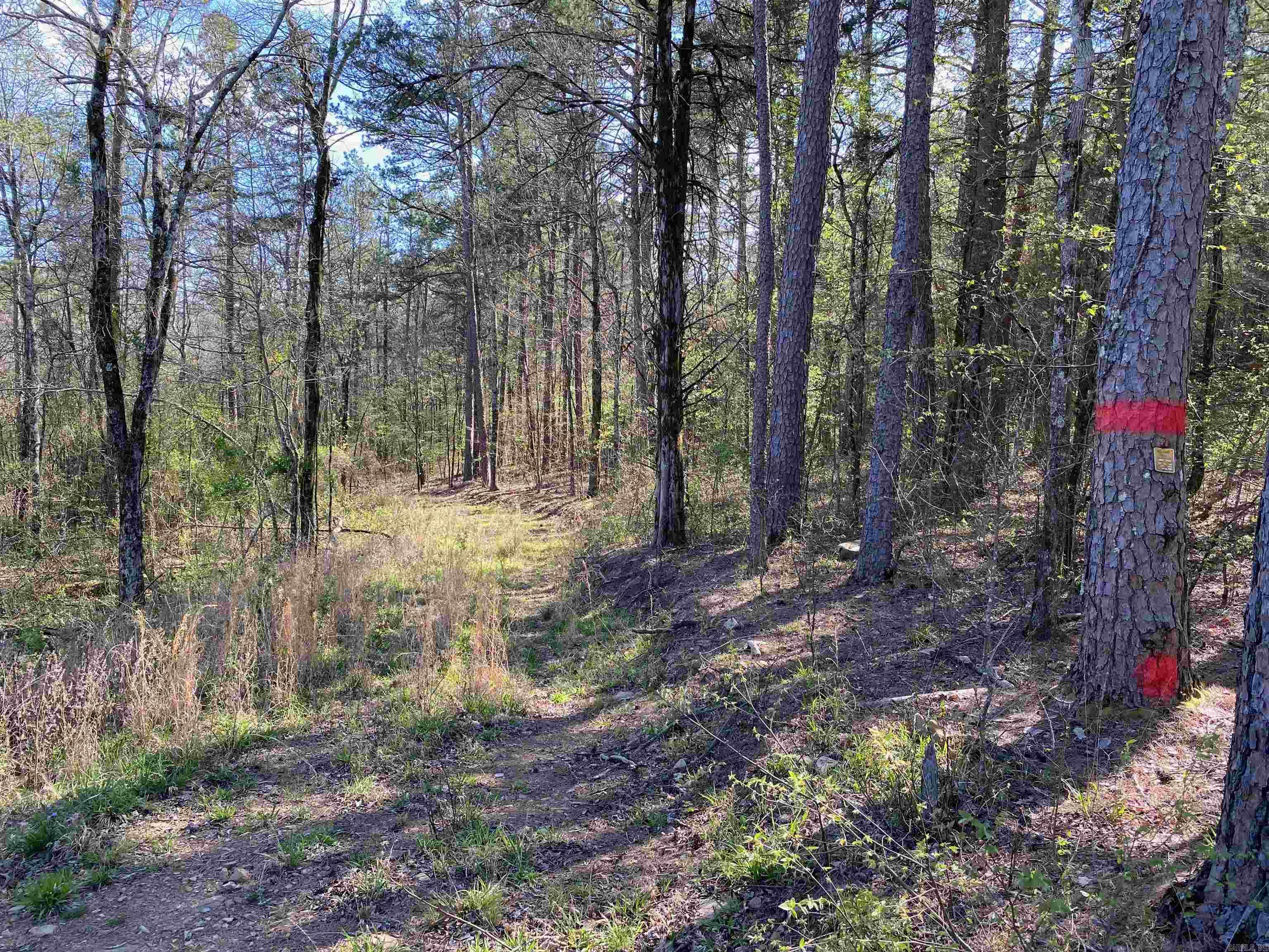 Not in Subdivision - Land