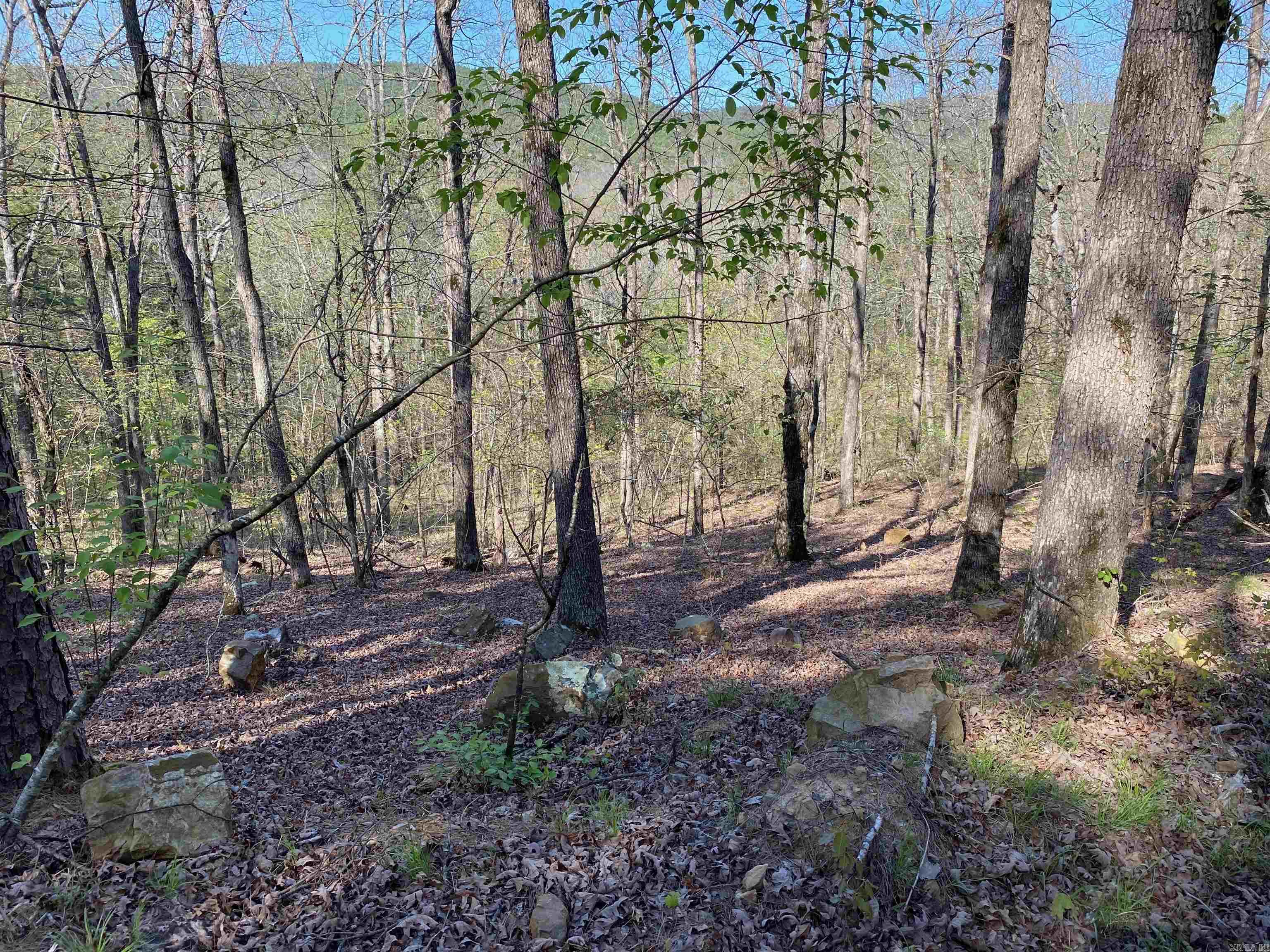 Not in Subdivision - Land