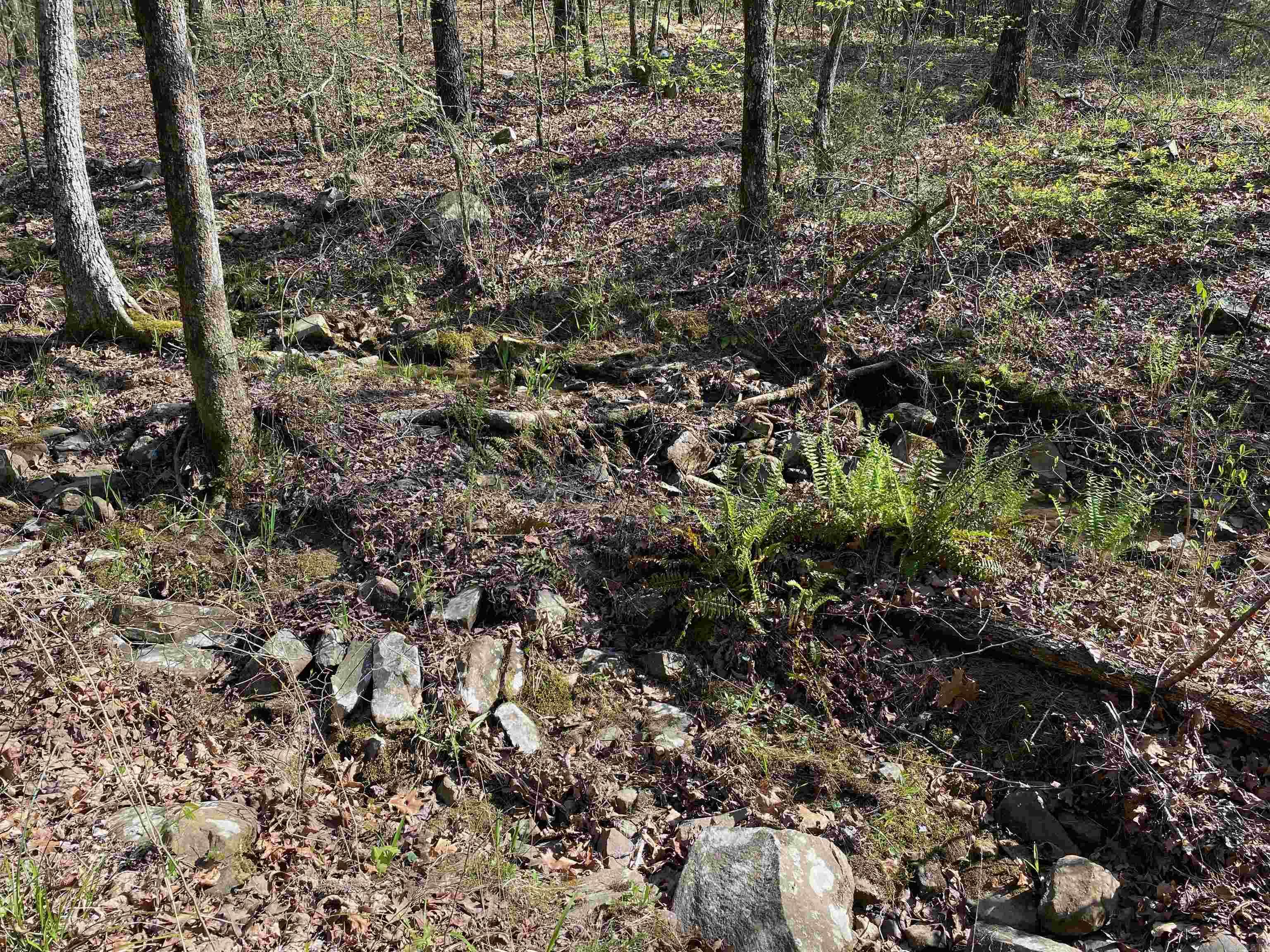 Not in Subdivision - Land