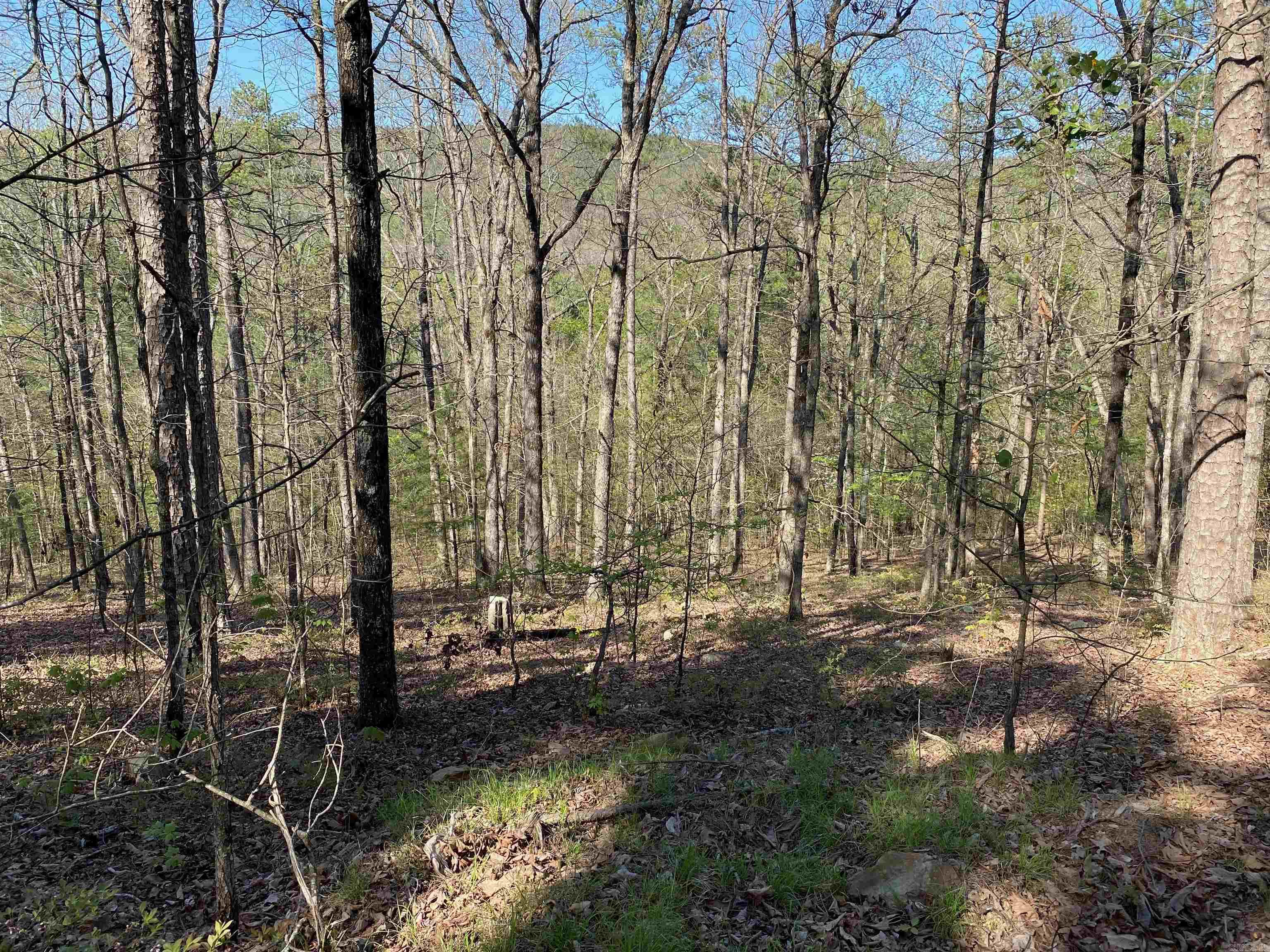 Not in Subdivision - Land