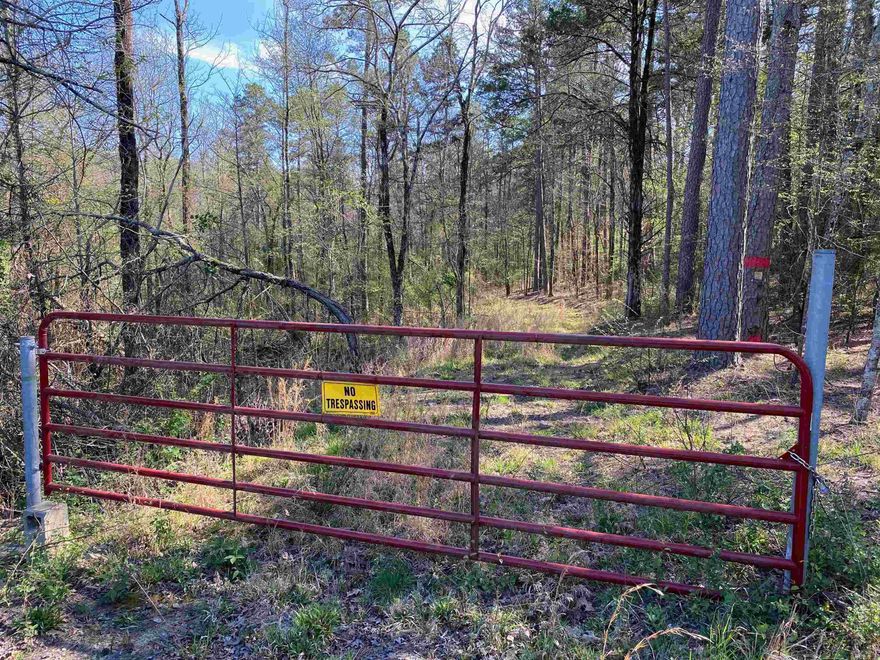 Tucked away surrounded by National Forest on three sides, this property has great potential. With two creeks, good road access, and county road frontage, it's both accessible and secluded. The gated entrance provides security, while the mix of hardwoods and pines creates an ideal landscape. Wildlife abounds, with deer, turkey, and bear making this their home. Whether you are looking for a building site or an outdoor adventure, this property offers endless opportunities. Make an offer and call this your own.