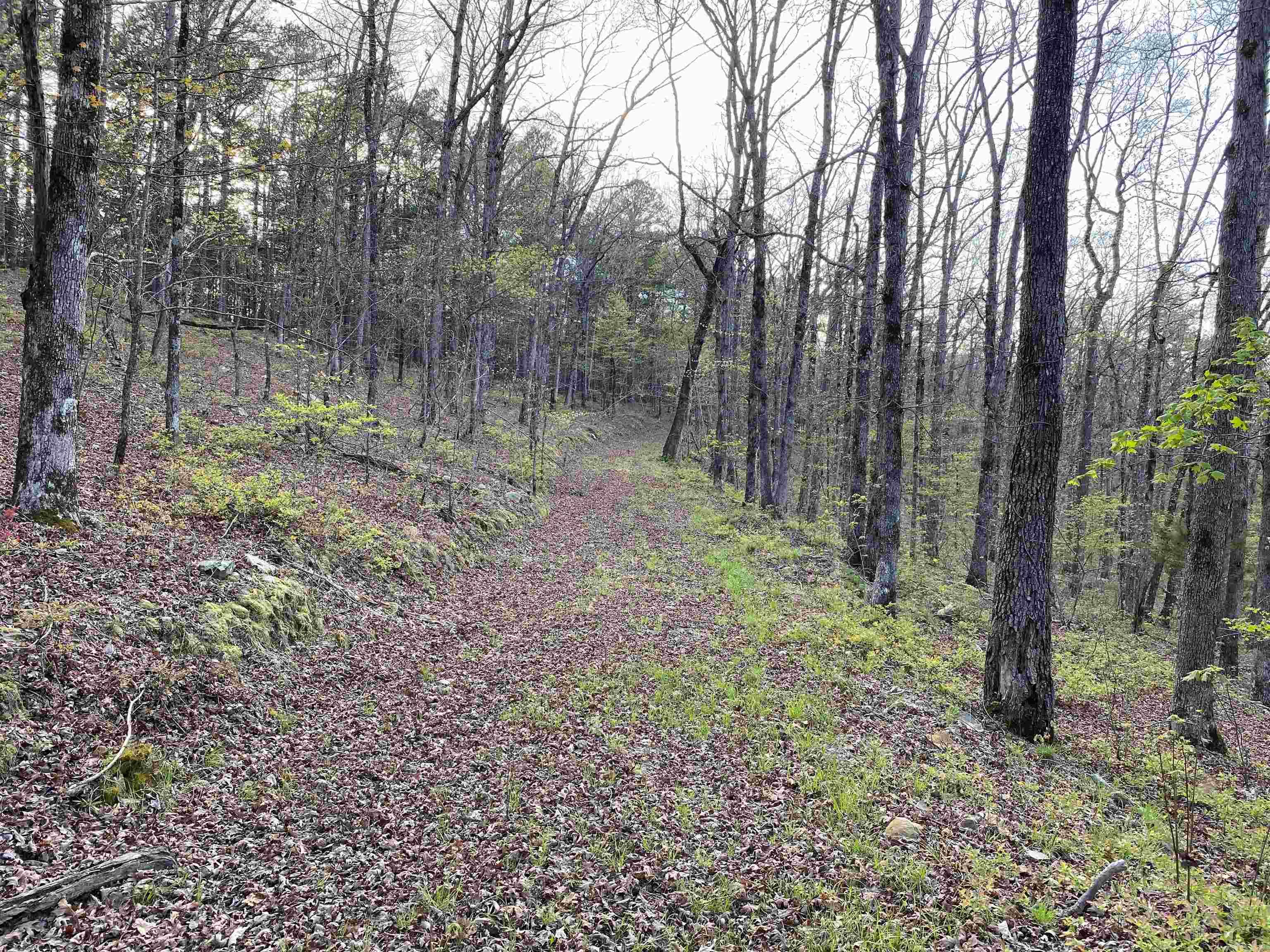 Not in Subdivision - Land