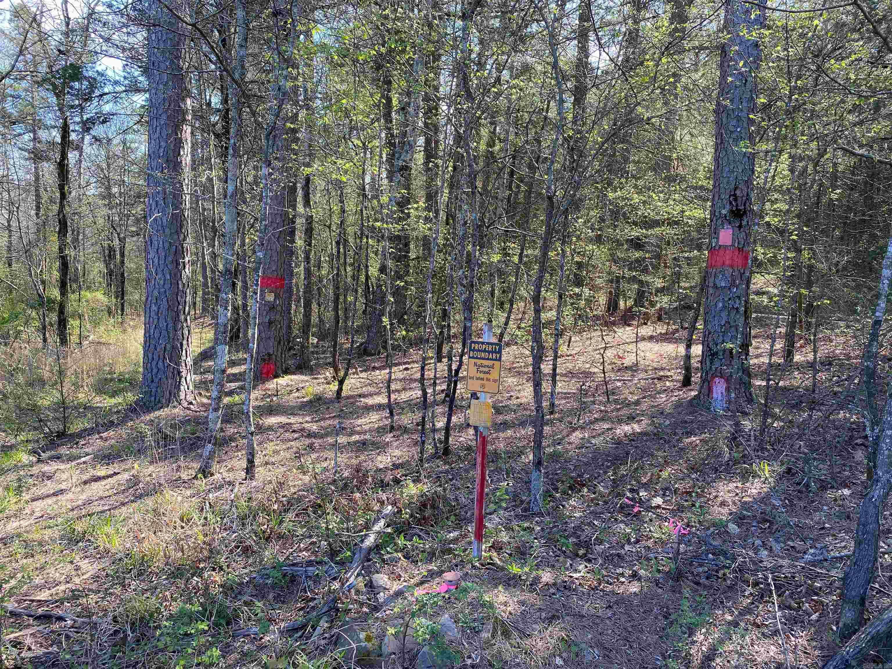 Not in Subdivision - Land