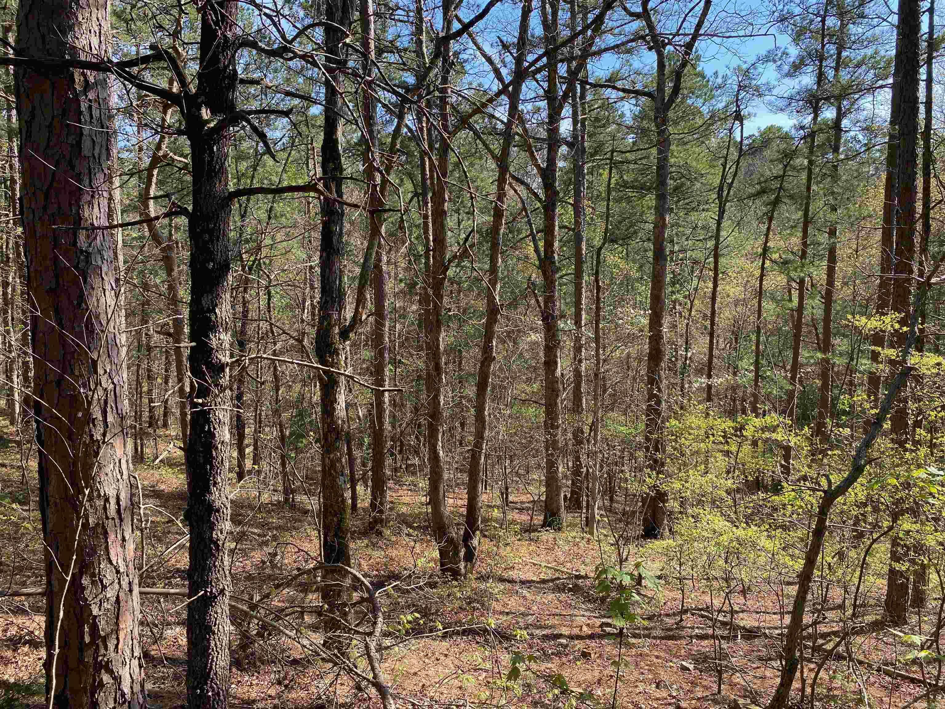 Not in Subdivision - Land