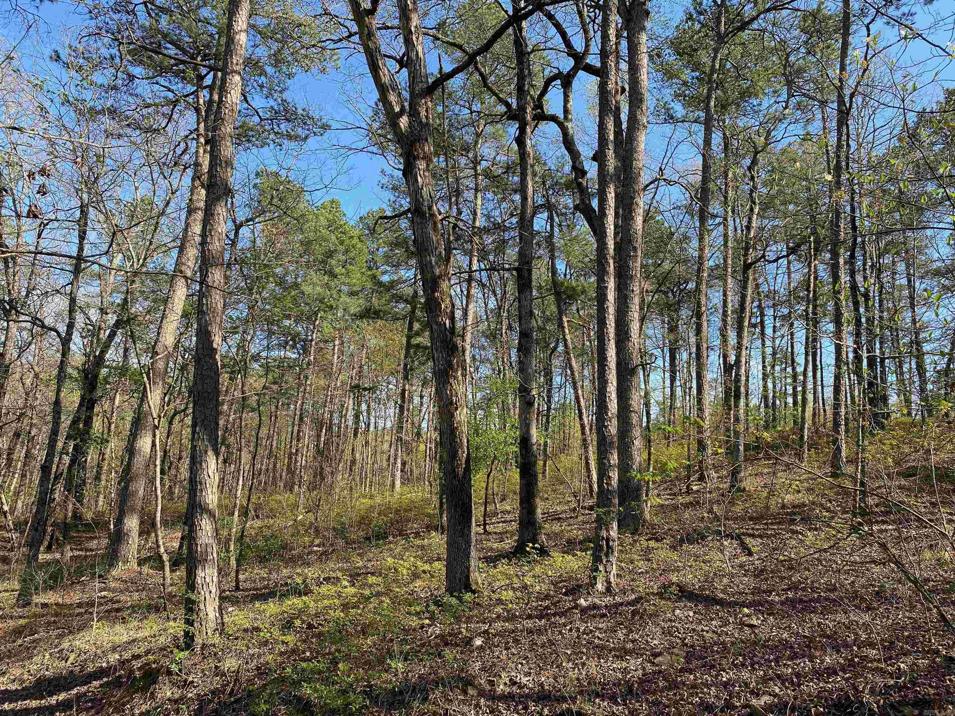 Not in Subdivision - Land