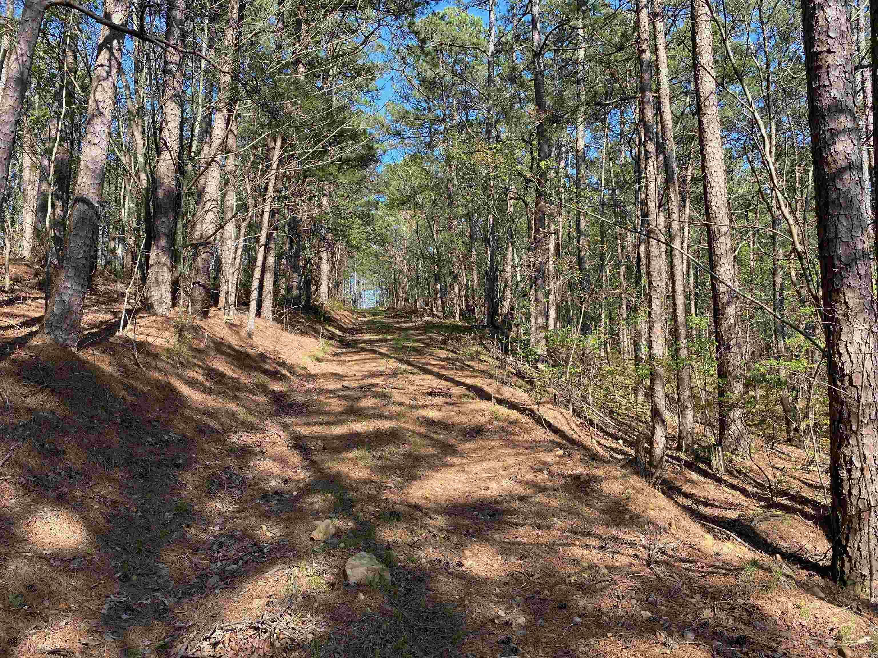 Not in Subdivision - Land