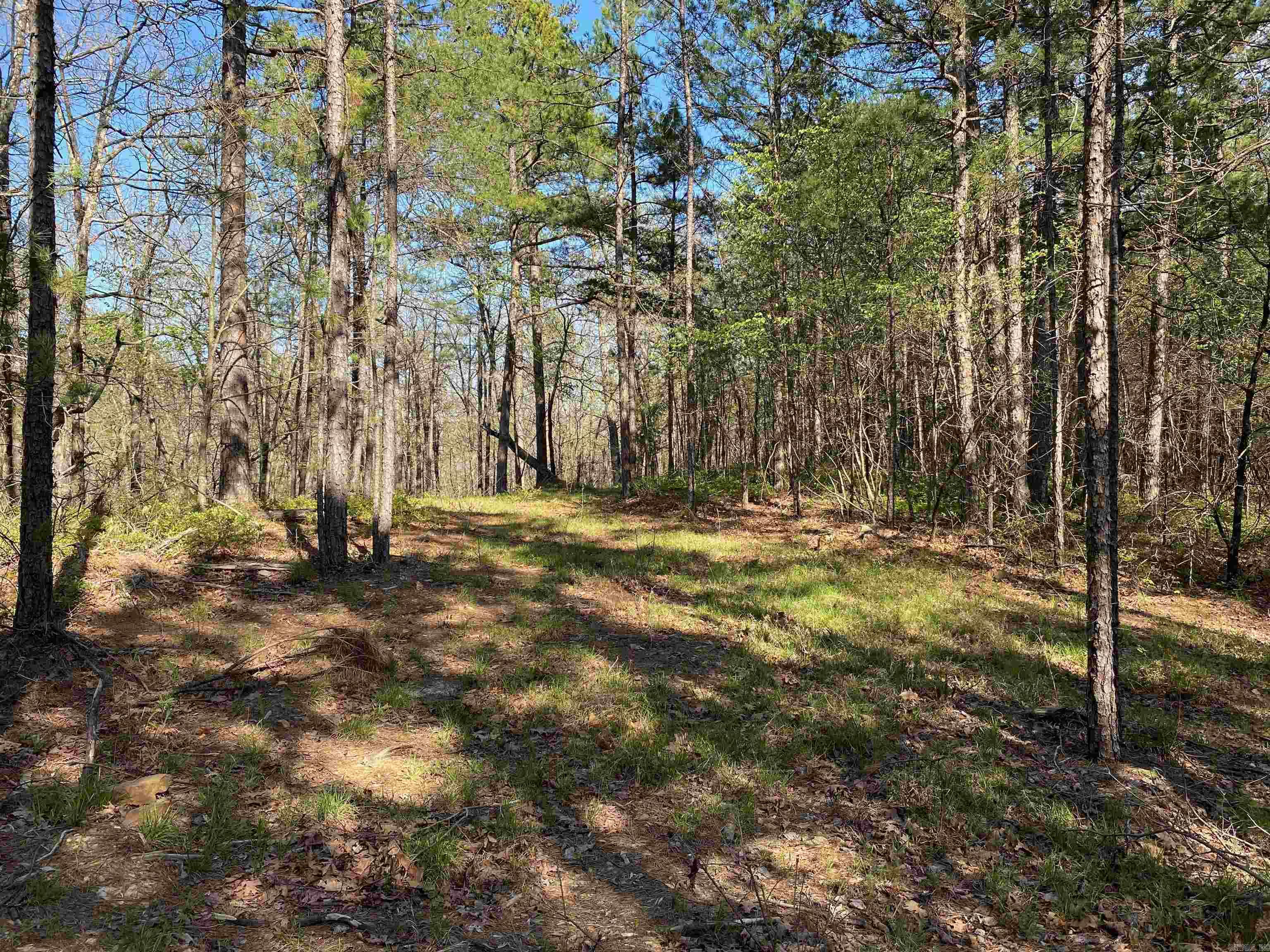 Not in Subdivision - Land