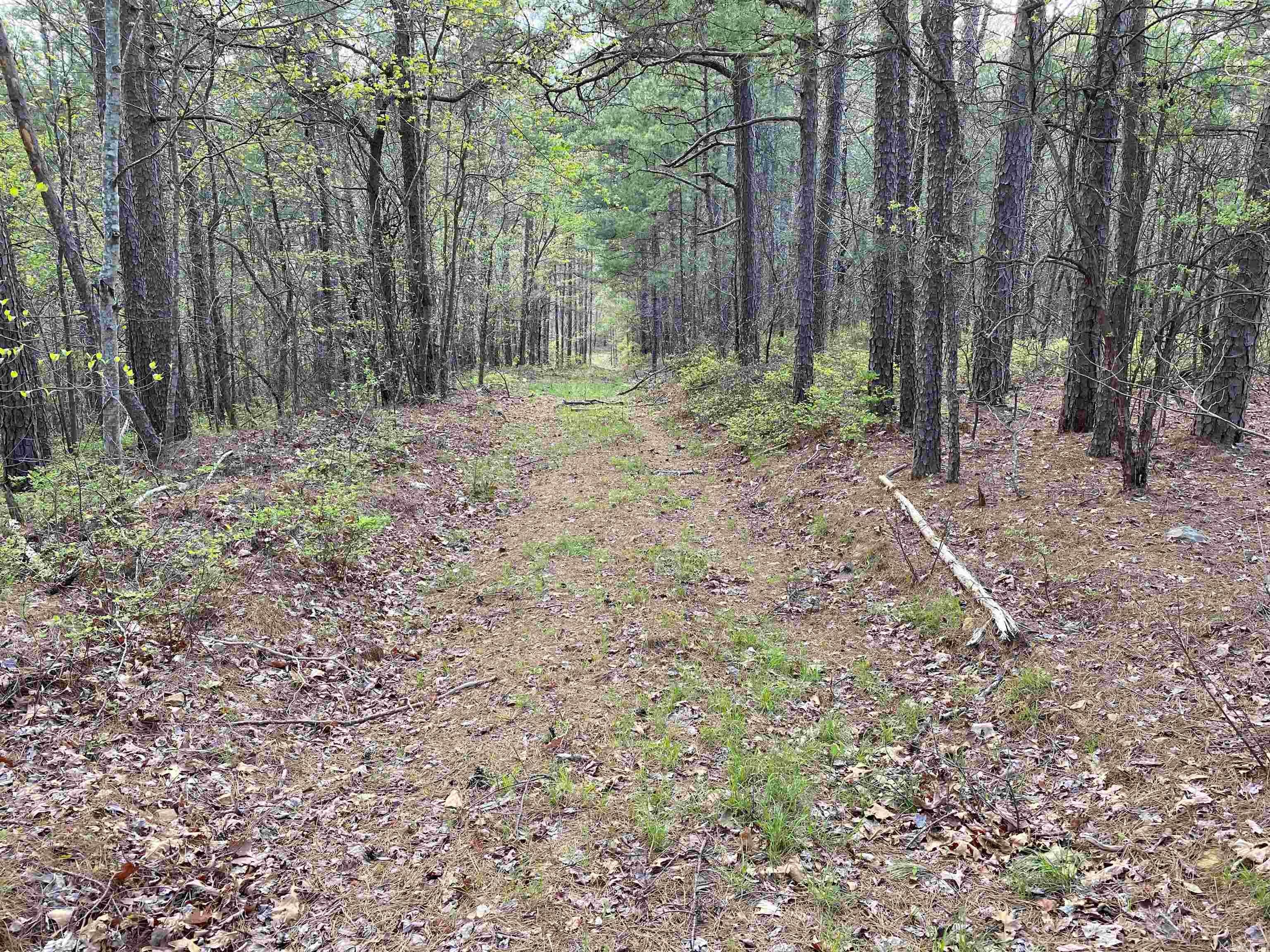 Not in Subdivision - Land