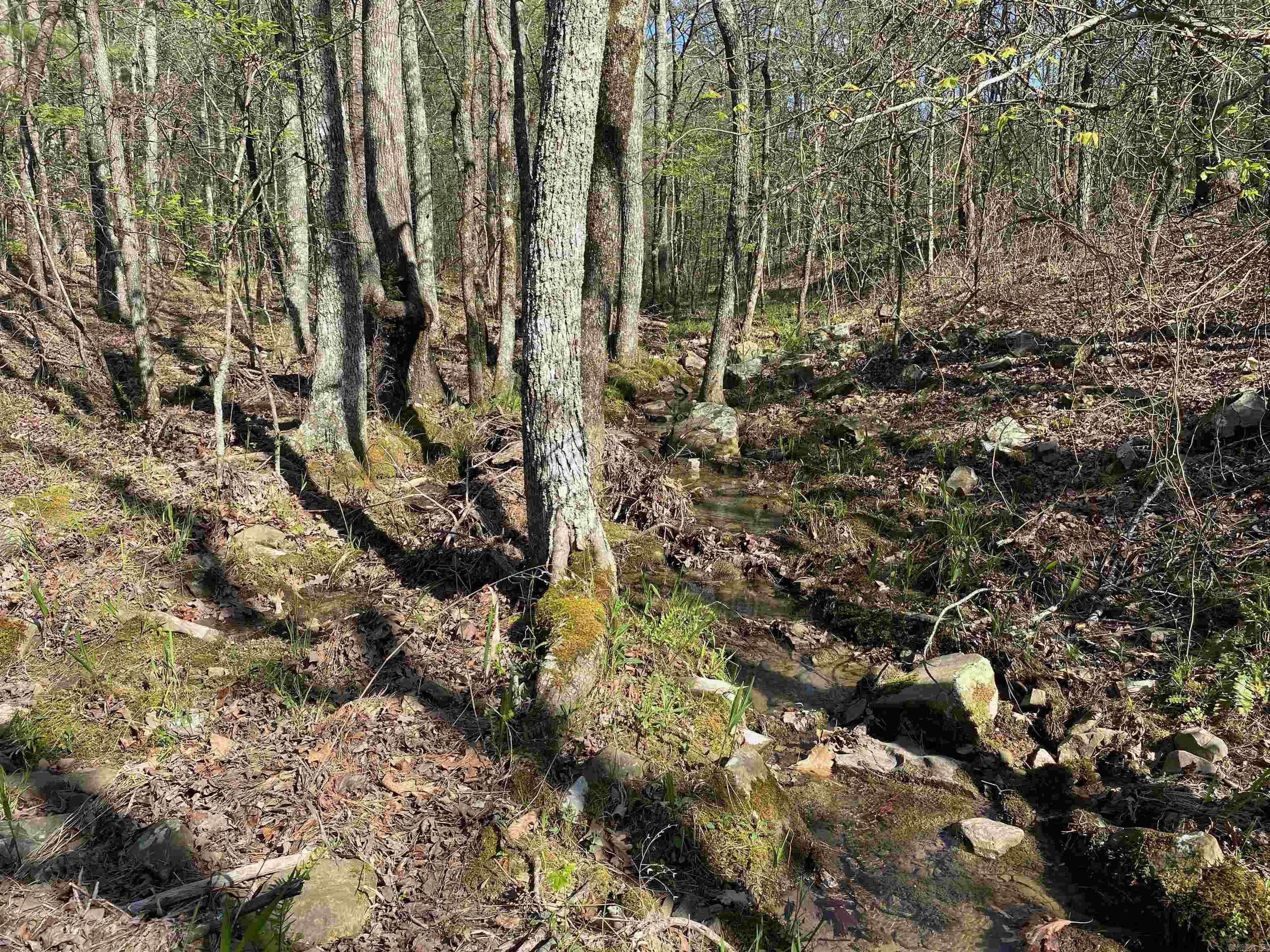 Not in Subdivision - Land