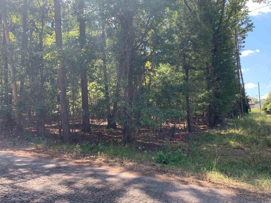 Recommended to purchase Lot 7 and 8 together, if the buyer is planning to build on this lot. The buyer will be limited to the size home that can be built due to perk test. Recommended to seek counsel from a Wastewater Specialist.