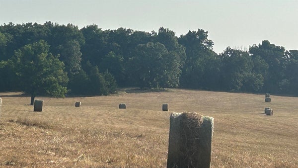 S CORINTH RD, ASH FLAT, AR 72513 - Image bbf8a3977b480d9b38785e44a6814d3b/389018681