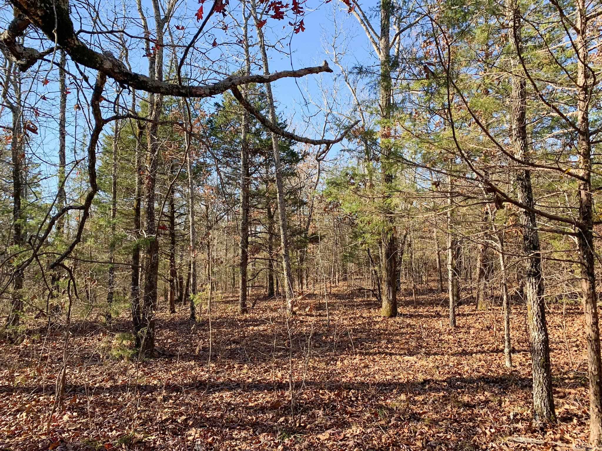 This 24.33-acre tract of woods offers exceptional peace and seclusion. There is a good mix of evergreen and hardwood trees, with an abundance of wildlife throughout. Gently rolling landscape. Good location, on a quiet dead-end road, but within 20 minutes of Choctaw Marina on Greers Ferry Lake and only an hour from Grinder's Ferry on the Buffalo National River. Electric and water is at the road. Can be purchased with an adjoining 15-acre tract, if still available, for a total of approximately 40 acres.