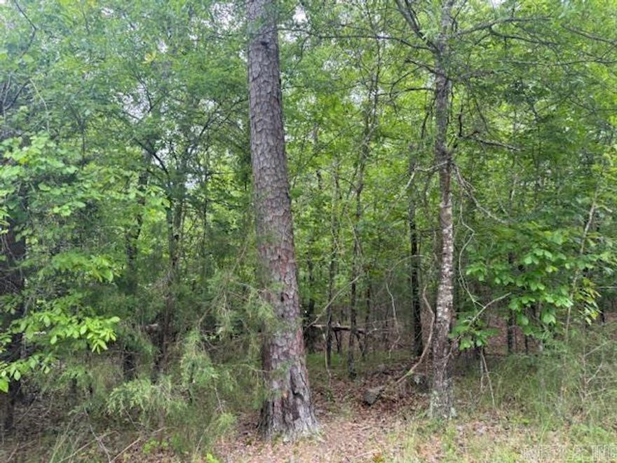 Here's a chance tp be a part of this great neighborhood. Close to Ponce De Leon Golf course.