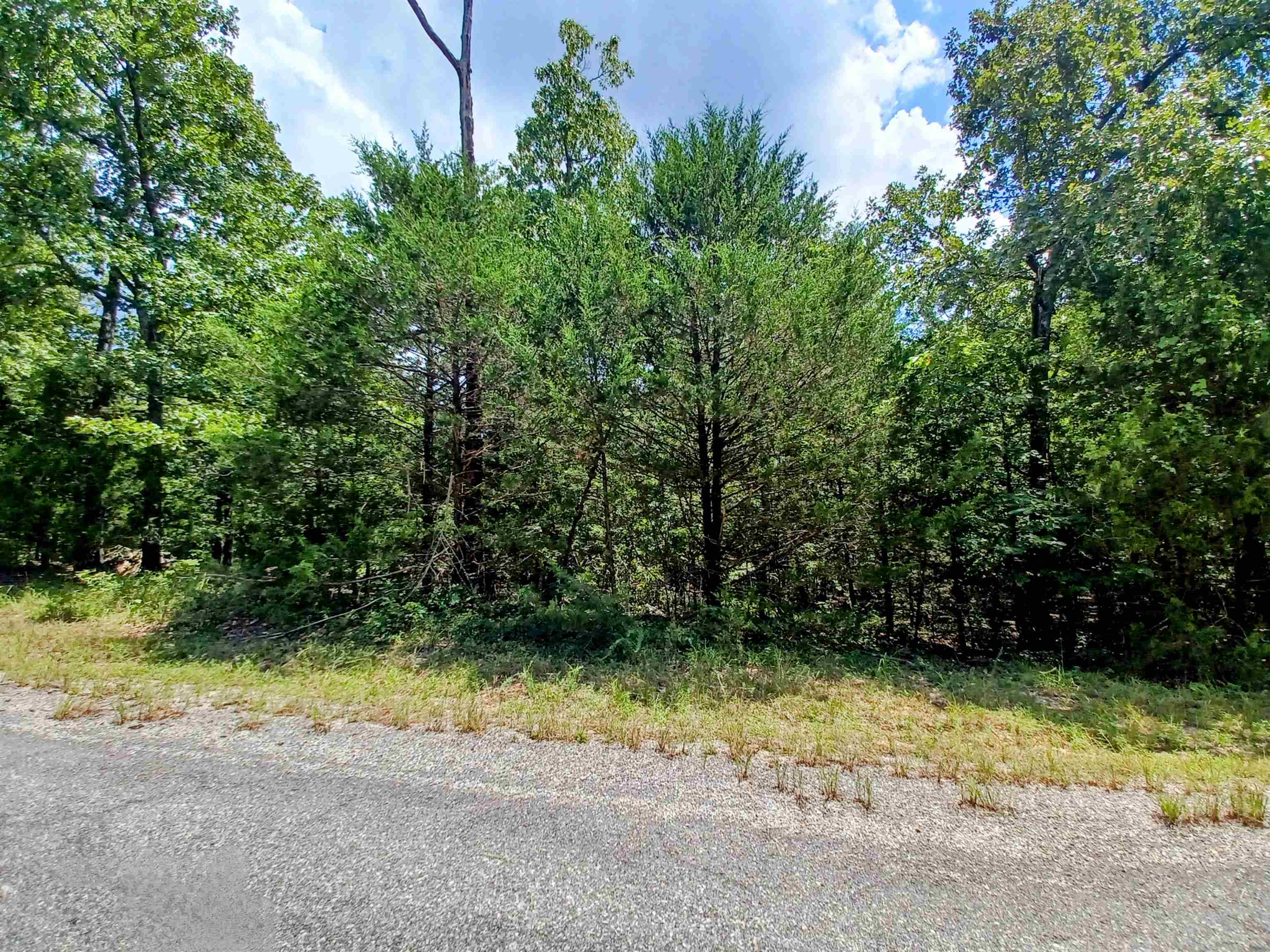 Want to build a vacation home or even your forever home? This is the perfect place. Beautiful .31 acre pretty level lot on a paved road. Just a couple of blocks from Crown Lake and Box and Hound Marina. This lot is in the perfect location. Close to town for groceries. Close to Turkey Mountain Golf coarse. Water and electric at the road. Beautiful and peaceful. Call or text today.