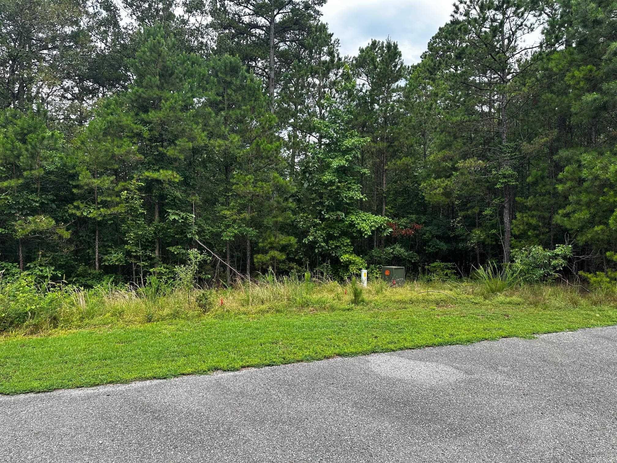 Great lot for building.Nice location. Utilities are underground. Mineral rights do not convey.