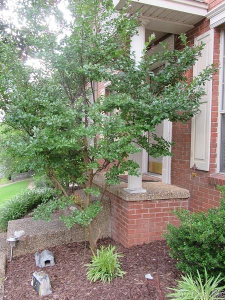 SECLUDED HILLS - Residential