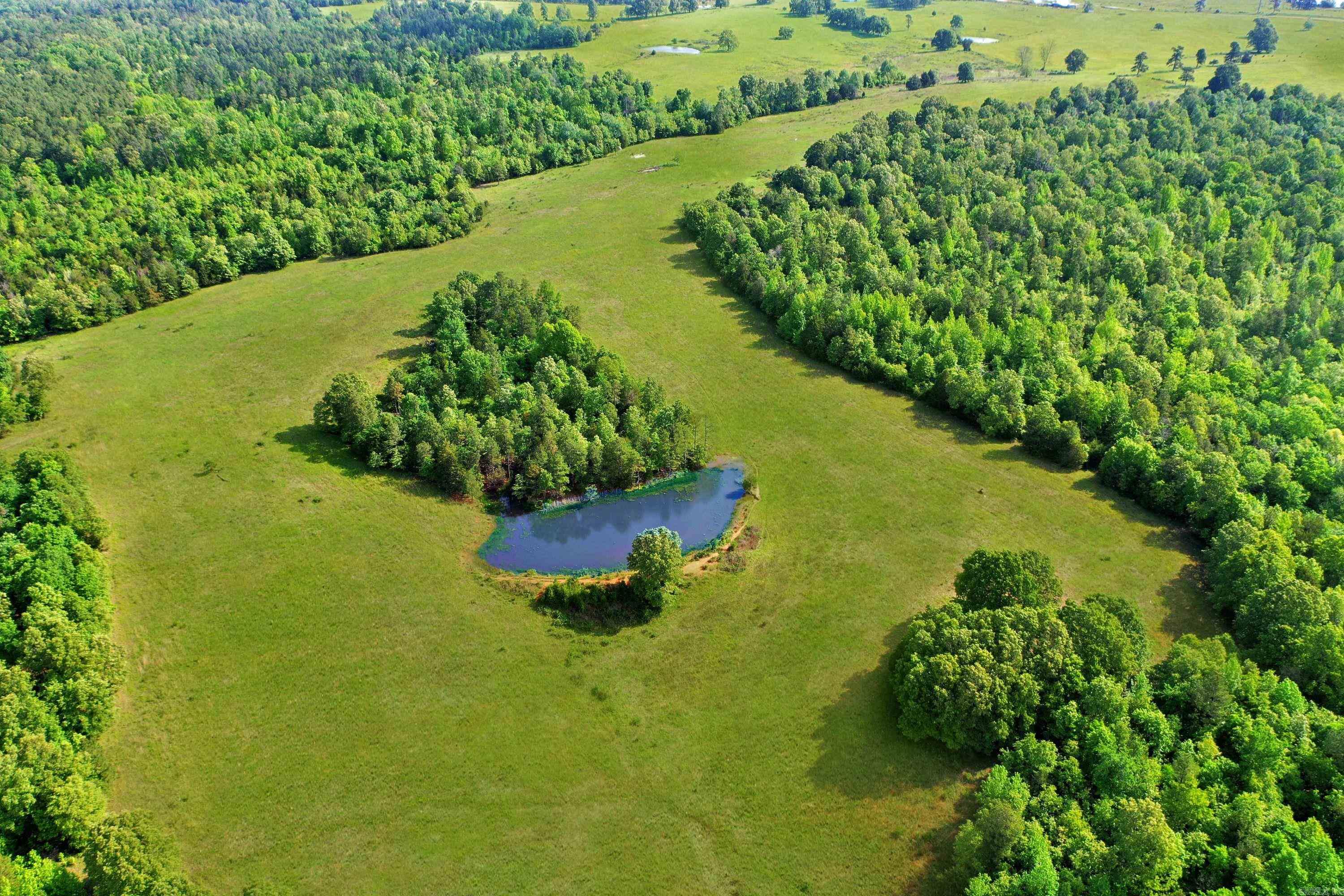 Motivated Seller. 160+/- acres with 18 acres of cleared land in Fescue and Bermuda grass. Farm pond with trails for turkey and deer hunting. Scenic house locations with panoramic views that stretch as far as the eye can see. The south and southwest sides of the property have county road frontage for 3/4 mile. Additional land can be purchased that joins the property. Agent owned.