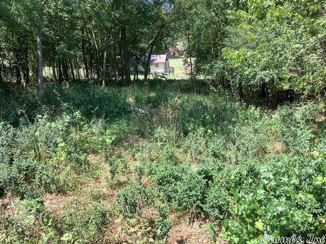 Several Lots combined to make this an acreage lot (Only one POA dues) 3 good building sites in a desirable area located in Diamondhead Resort Community, Lake Catherine's friendly private community only minutes from Hot Springs. The community includes A PGA sanctioned 18-hole golf course, driving range, Olympic size swimming pool, children's playground, tennis & basketball Courts, marina, clubhouse, community activities and lots of friendly neighbors! LAKE ACCESS.