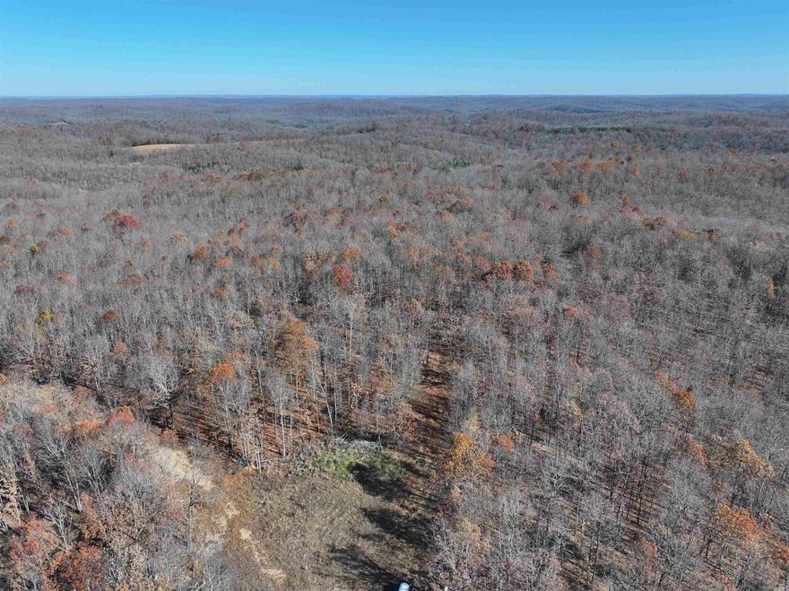 Take a look at this large recreational tract with proven hunting and recent improvements! This 566 +/- acres lies in both Sharp and Randolph counties, located just 6 miles northwest of Ravenden Springs on Bethany Road. Trails can be accessed by ATV/UTV, but most trails have been improved allowing access by truck as well. Even with a substantial trail system in place, there is opportunity for the next owners to continue making improvements throughout the property. Property has two small year-round springs as well as multiple creeks. A hunter's paradise with abundant deer and turkey hunting, mature woods and smaller timber thickets provide a quality hunting environment. Trails throughout the property that lead to numerous 0.5 acre to 1 acre food plots, timber stand locations and recently built ponds. One food plot even consists of apple and pear trees, while others are scattered with persimmon trees. Multiple box deer stands, ladder stands, and tripod feeders will convey with the sale. 2 Eagle barns used for lodging will also convey. Large tracts of land like this are a rare find, don't miss this opportunity to make it yours.