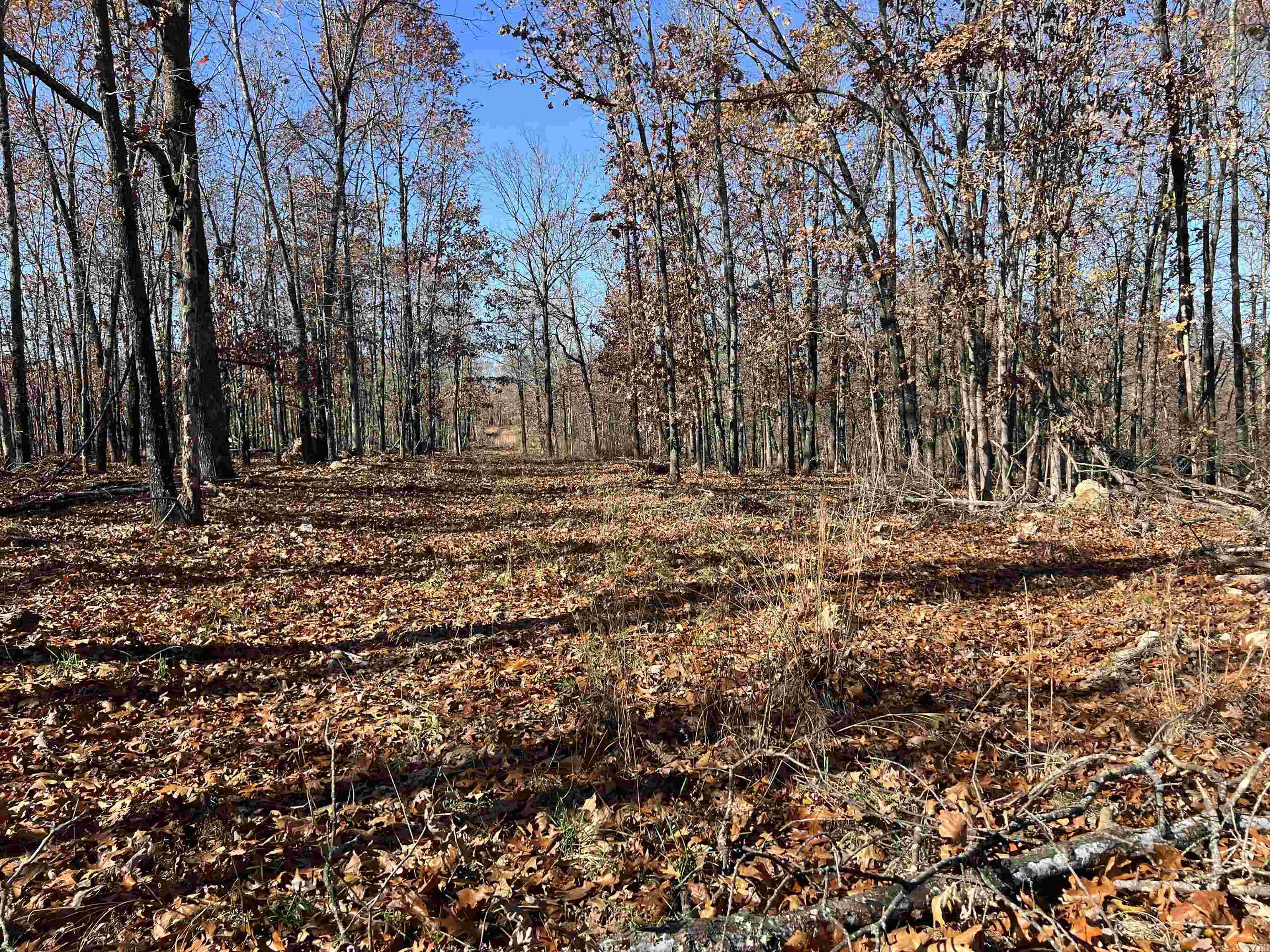 Metes & Bounds - Land