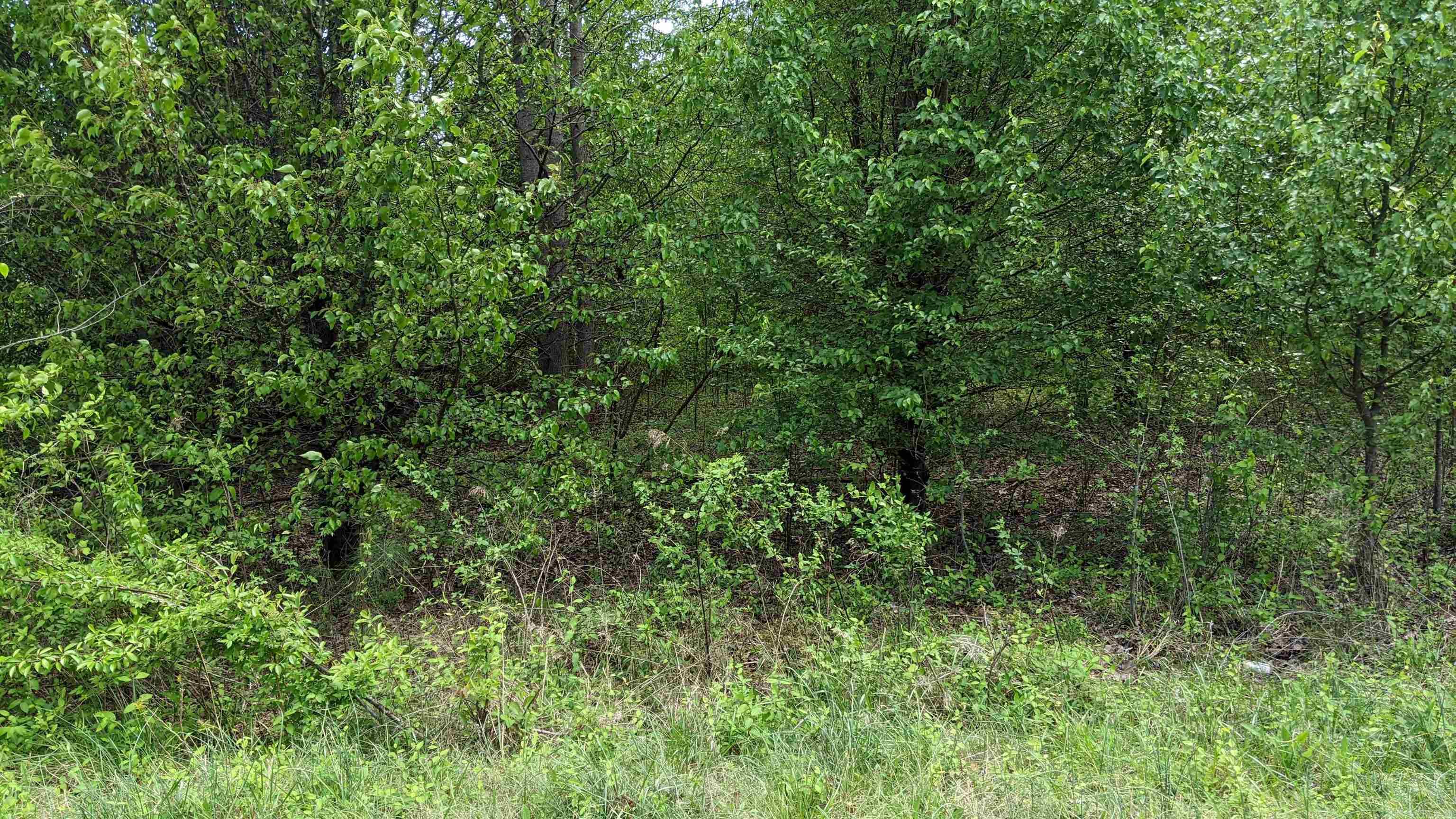 Remington Place - Land