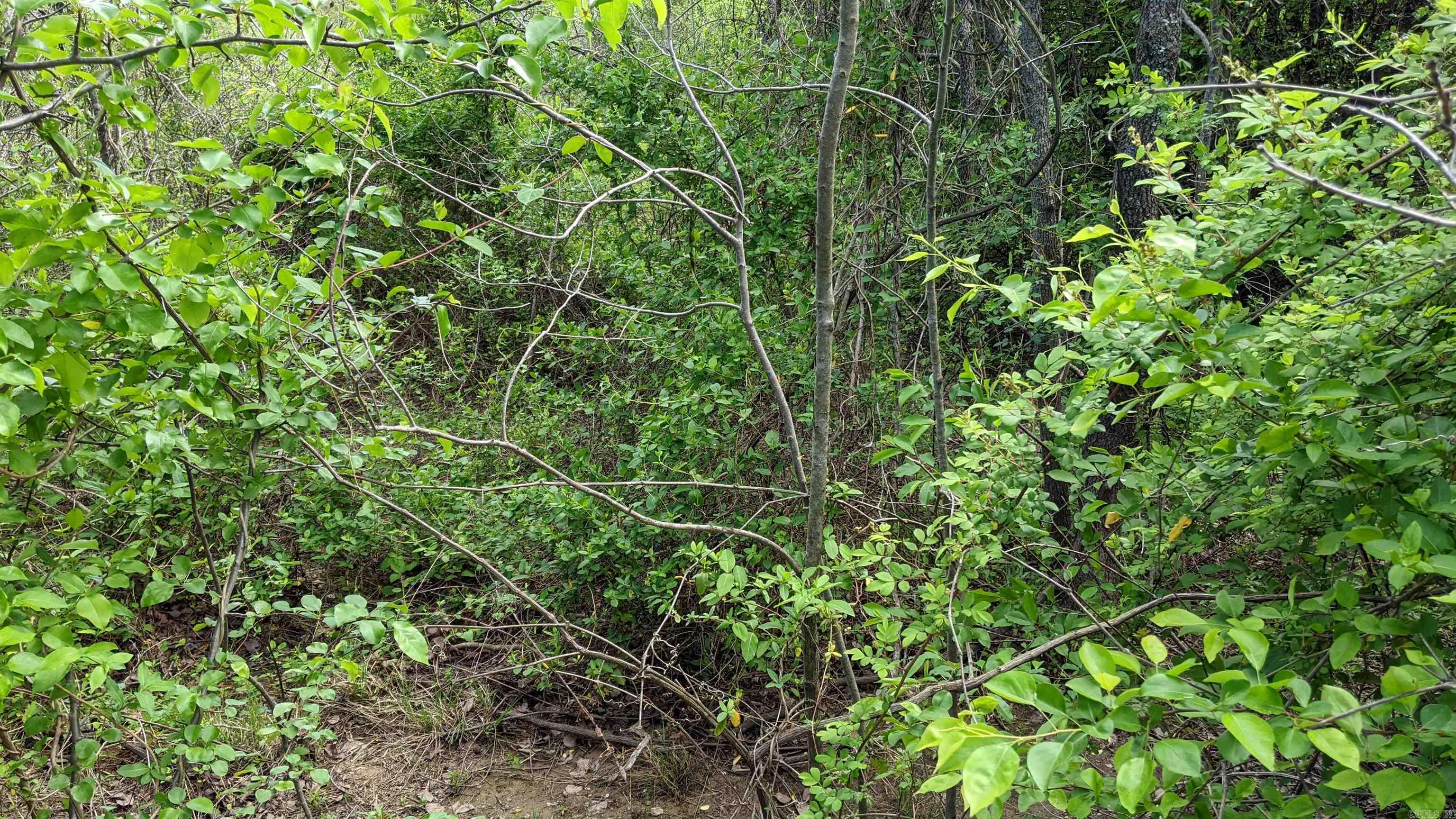 Remington Place - Land