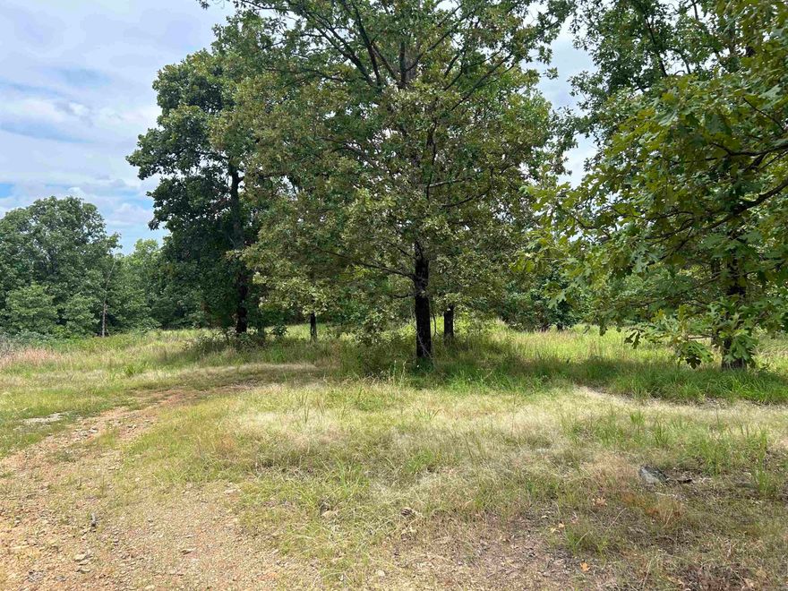 Beautiful acreage for your new construction. Close to Conway, Vilonia, and Mayflower. Vilonia School District.