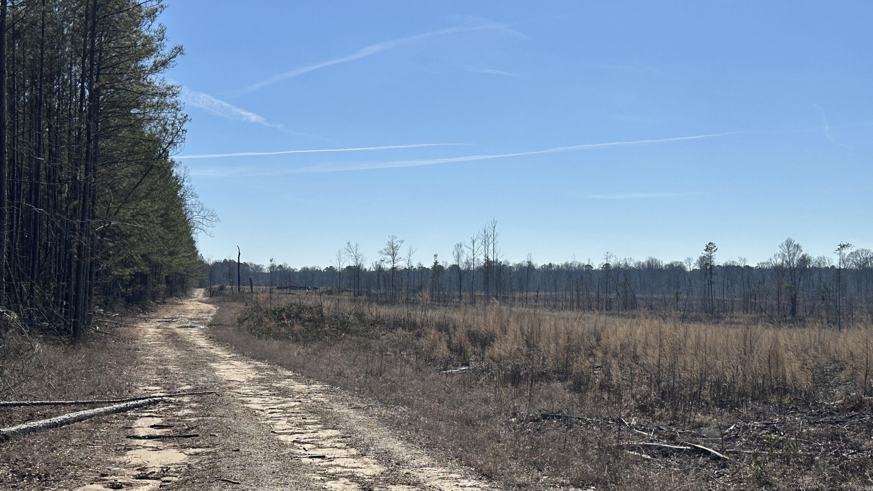Bayou Bartholomew 215 is a recent clear cut timber tract is located in Jefferson County, AR just west of White Hall & Pine Bluff. With frontage on Princeton Pike, the property has great access as access to utilities. With the timber harvest (2022), there's miles of logging roads and trails littered throughout the property...whether you decide to use them to navigate from A to B, or use them for a shooting lanes. While on the property, I came across tons of deer and turkey tracks. As seen in the aerial photos, both timber along the banks of Bayou Bartholomew as well as some scattered young pine still stands on the property. Plenty of roost turkey trees! This one is a great hunting tract that will only improve as the natural regeneration continues to grow back up. One could look at it as a blank canvas for manipulation (roads, food plots, etc.) during the early stages, or decide to plant it back in pine plantation. Located in the White Hall school district. An additional 365 acres +/- can be purchased to the north. Also shown are pictures I took on my first visit in August to give an idea of the amount of browse and bedding this property offers to deer, turkey, and other critters.