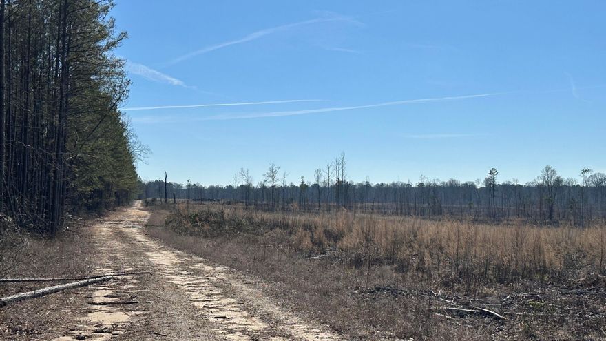 Bayou Bartholomew 215 is a recent clear cut timber tract is located in Jefferson County, AR just west of White Hall & Pine Bluff. With frontage on Princeton Pike, the property has great access as access to utilities. With the timber harvest (2022), there's miles of logging roads and trails littered throughout the property...whether you decide to use them to navigate from A to B, or use them for a shooting lanes. While on the property, I came across tons of deer and turkey tracks. As seen in the aerial photos, both timber along the banks of Bayou Bartholomew as well as some scattered young pine still stands on the property. Plenty of roost turkey trees! This one is a great hunting tract that will only improve as the natural regeneration continues to grow back up. One could look at it as a blank canvas for manipulation (roads, food plots, etc.) during the early stages, or decide to plant it back in pine plantation. Located in the White Hall school district. An additional 365 acres +/- can be purchased to the north.  Also shown are pictures I took on my first visit in August to give an idea of the amount of browse and bedding this property offers to deer, turkey, and other critters.