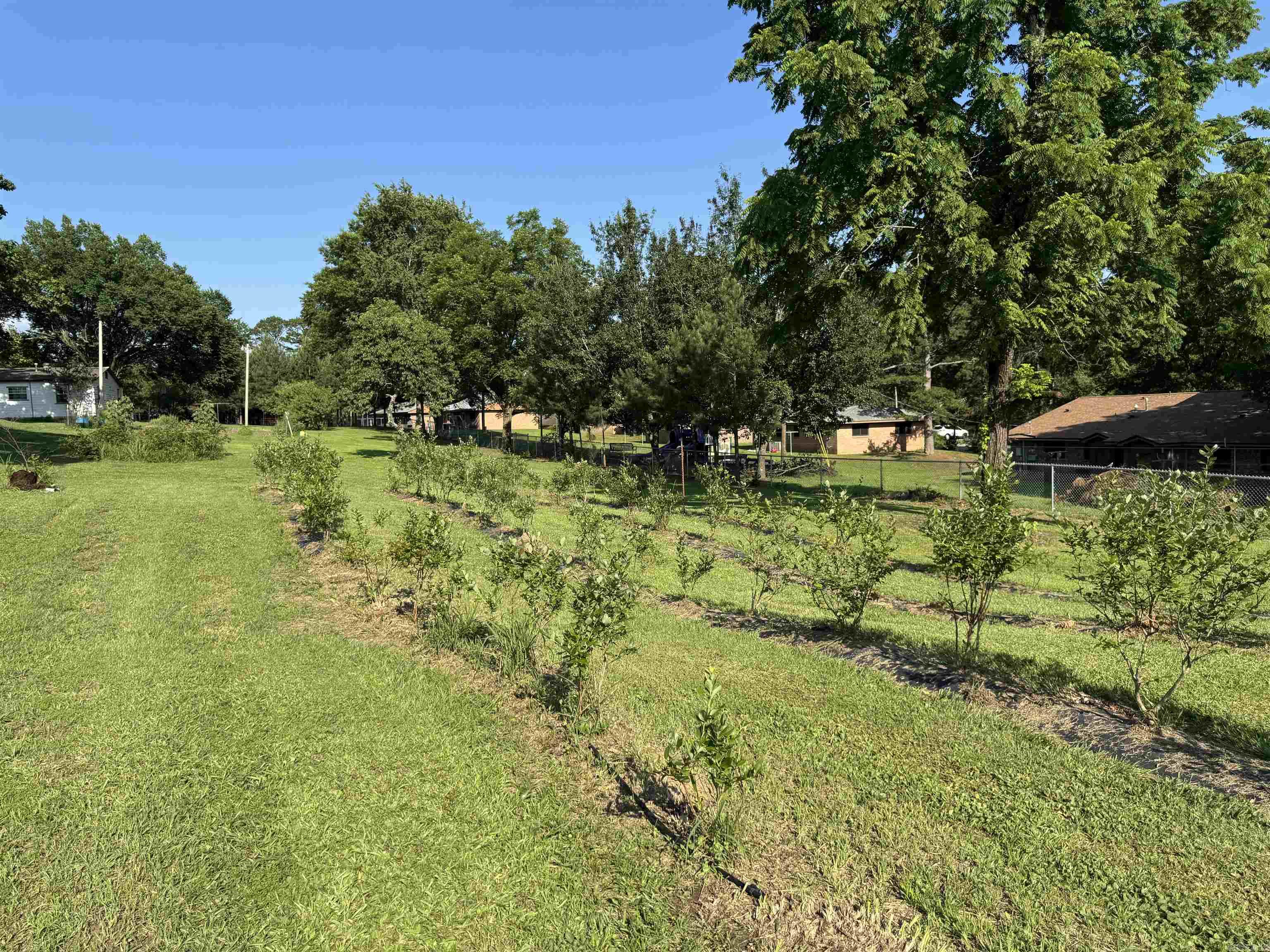 Wickes - Residential