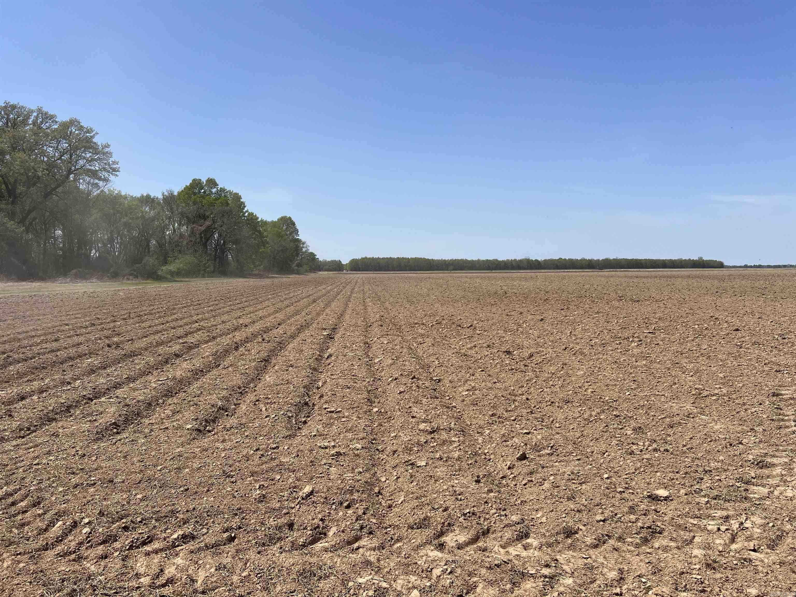 High producing irrigated farm in Lonoke County. Farm consists of 85% silt loam bakers bayou sand and 15% mixed to buckshot. Been mainly a cotton farm until 2009 when farm was switched to mainly corn. Rice and soybeans have also been grown on the farm every year. The 8" turbine well waters every inch of the farm with no problem. Well pumps around 1,800 gpm. Give me a call today to view.
