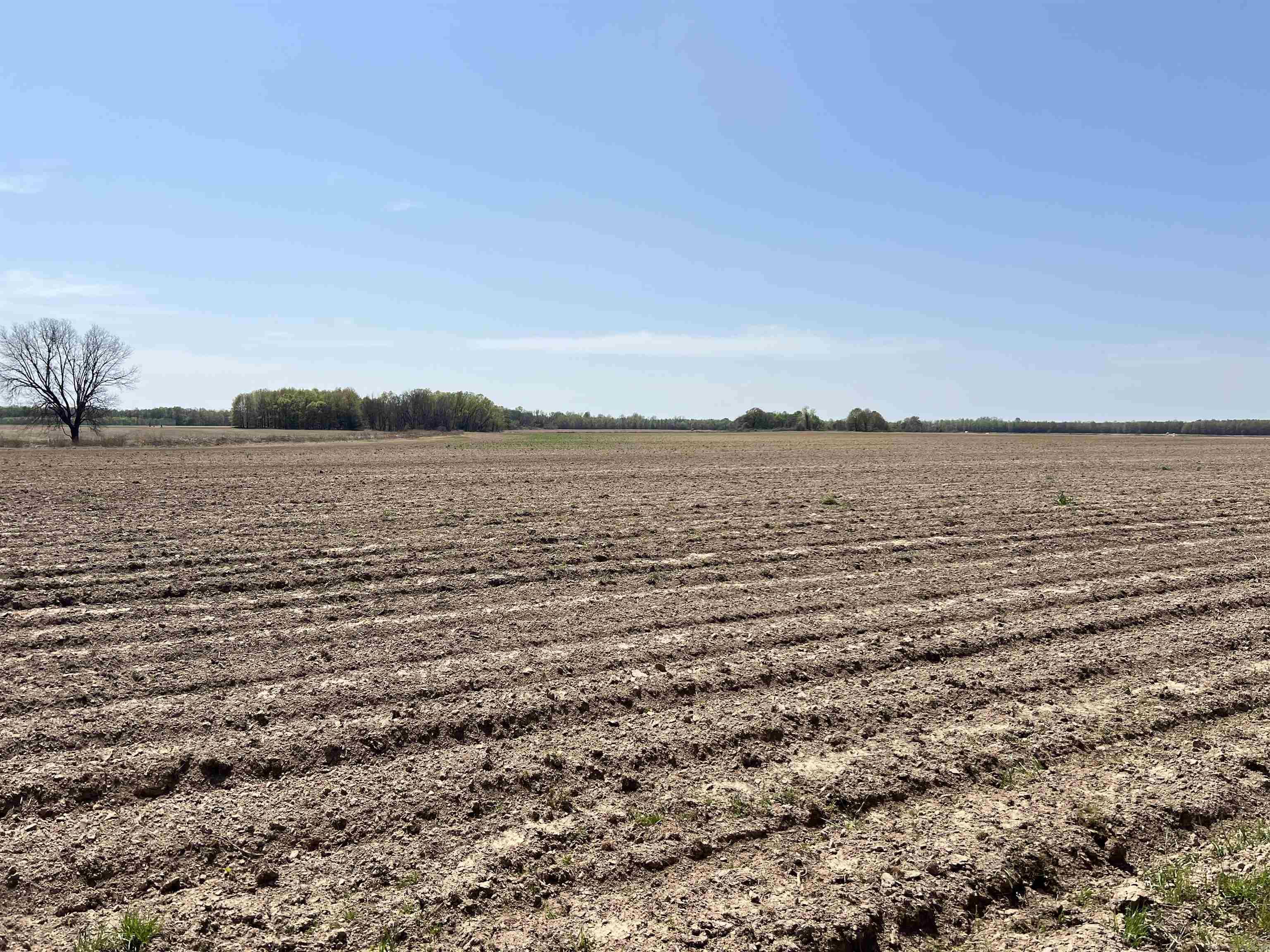 Metes & Bounds - Farm